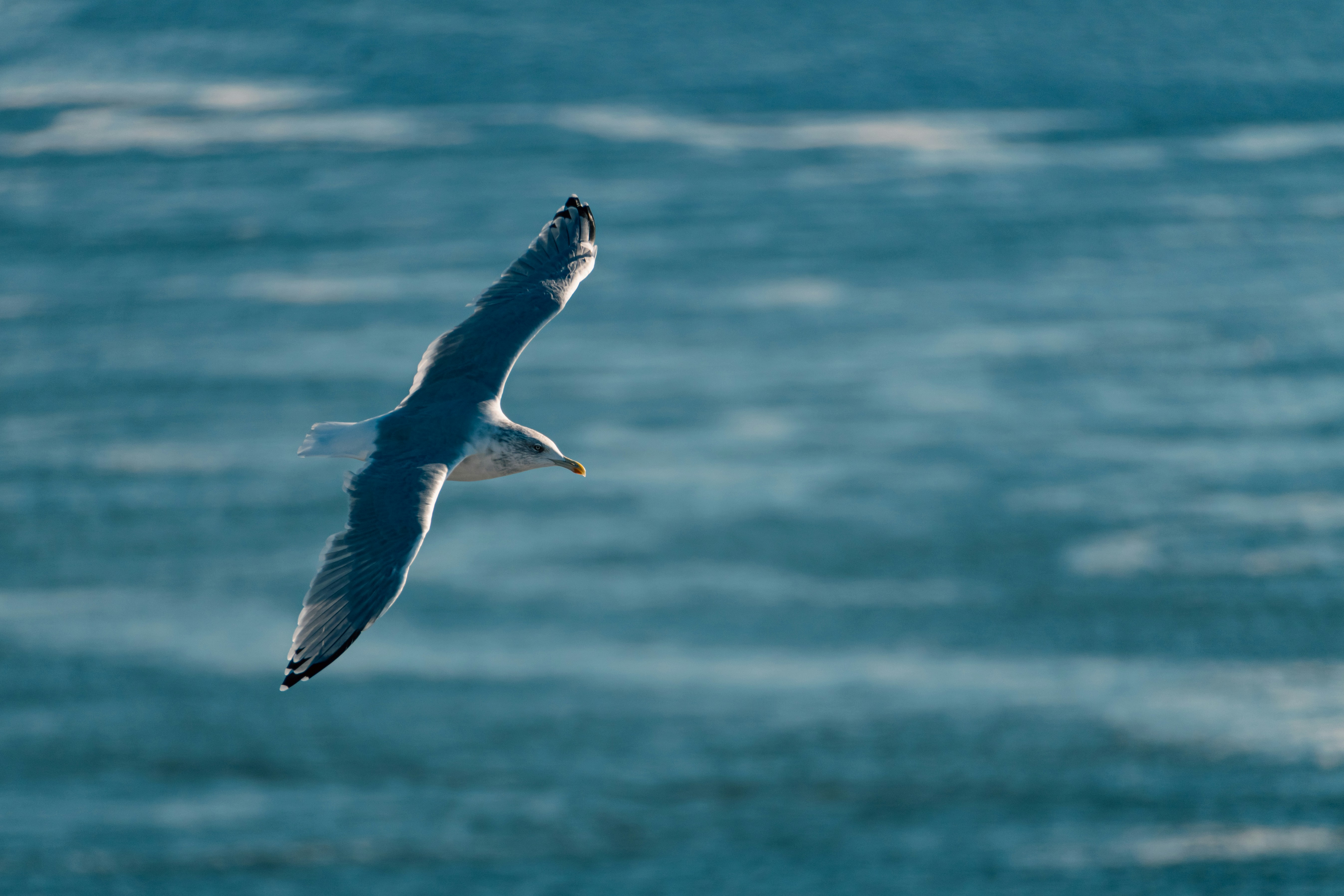 Photo by jan_ledermann