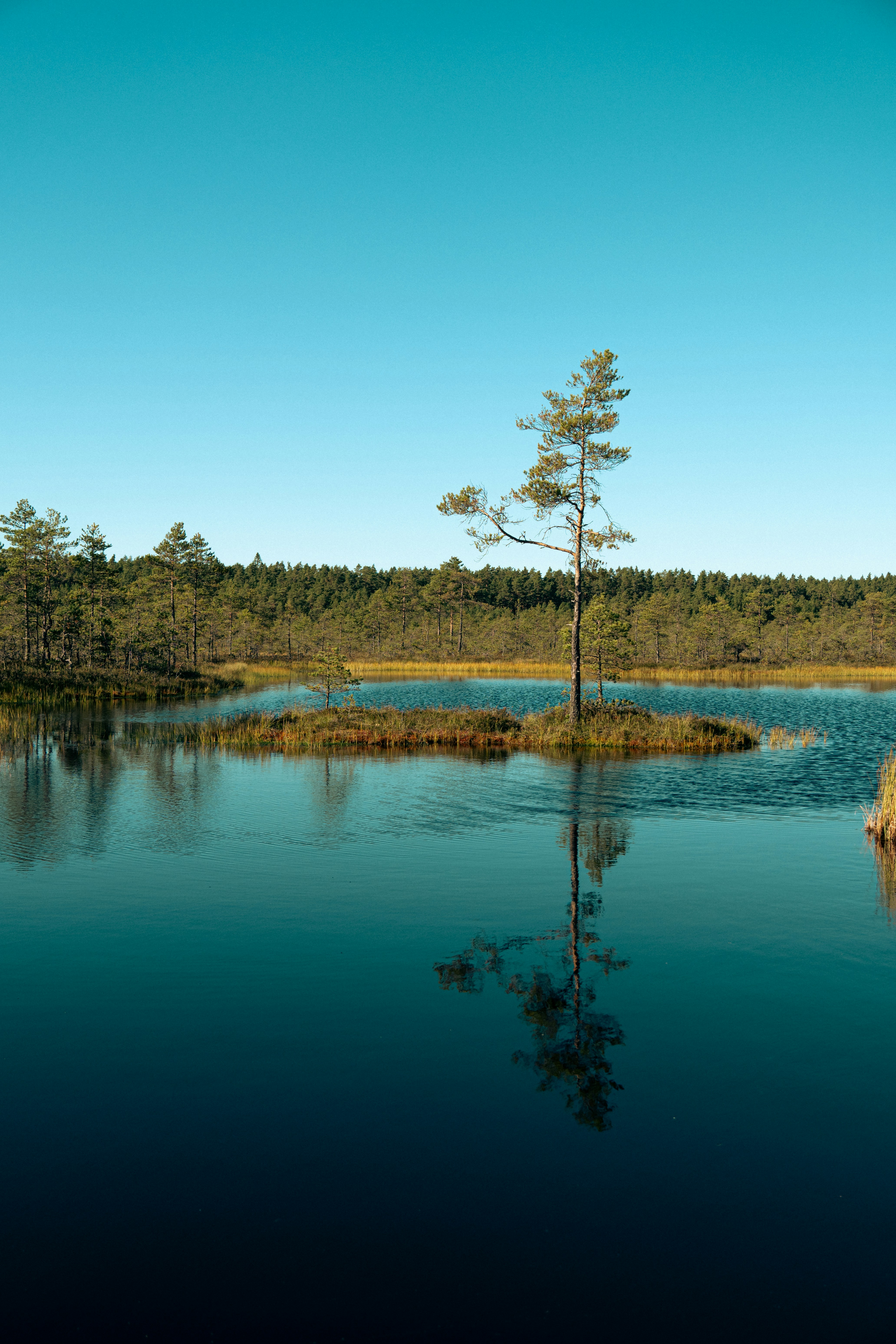 Photo by jan_ledermann