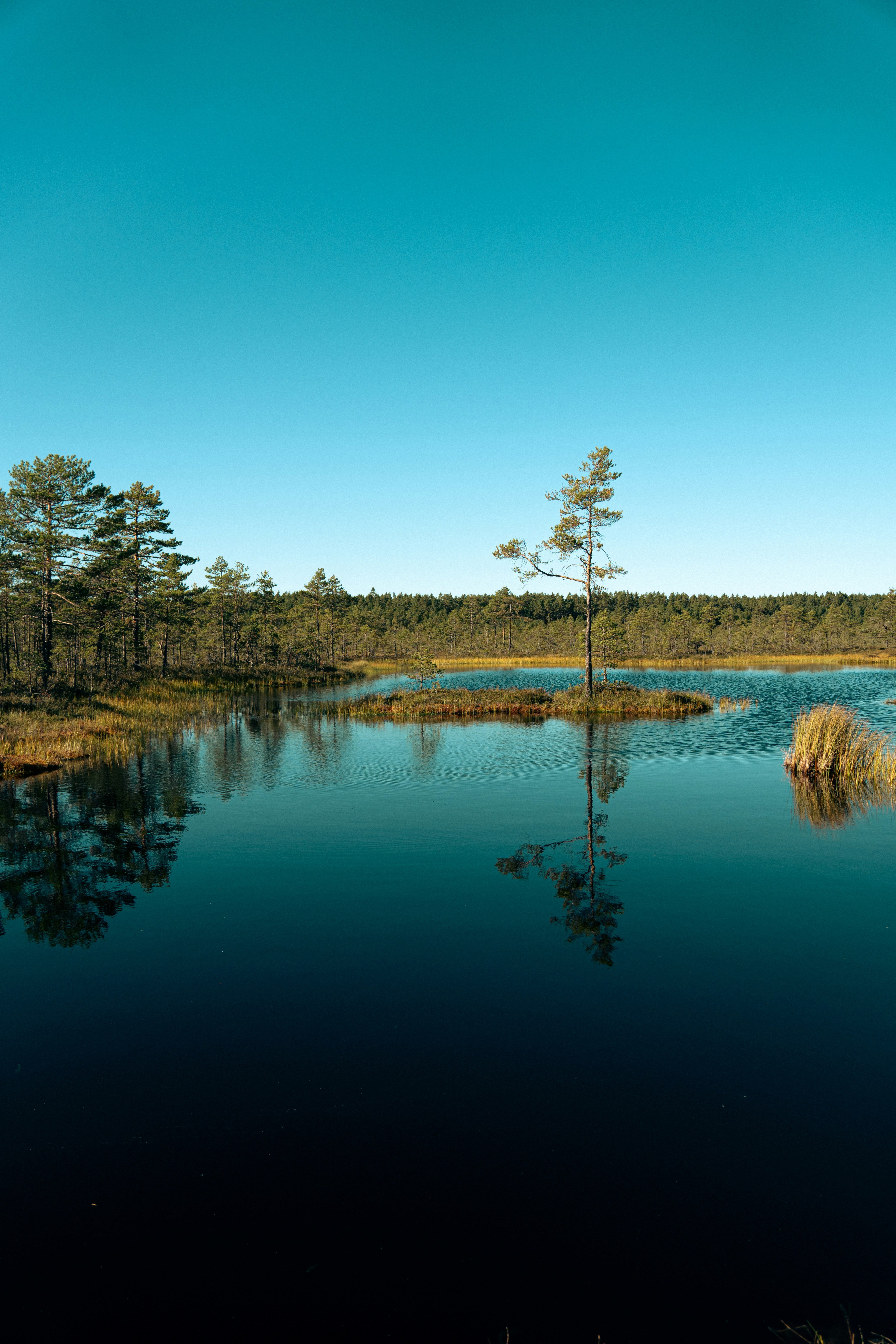 Photo by jan_ledermann