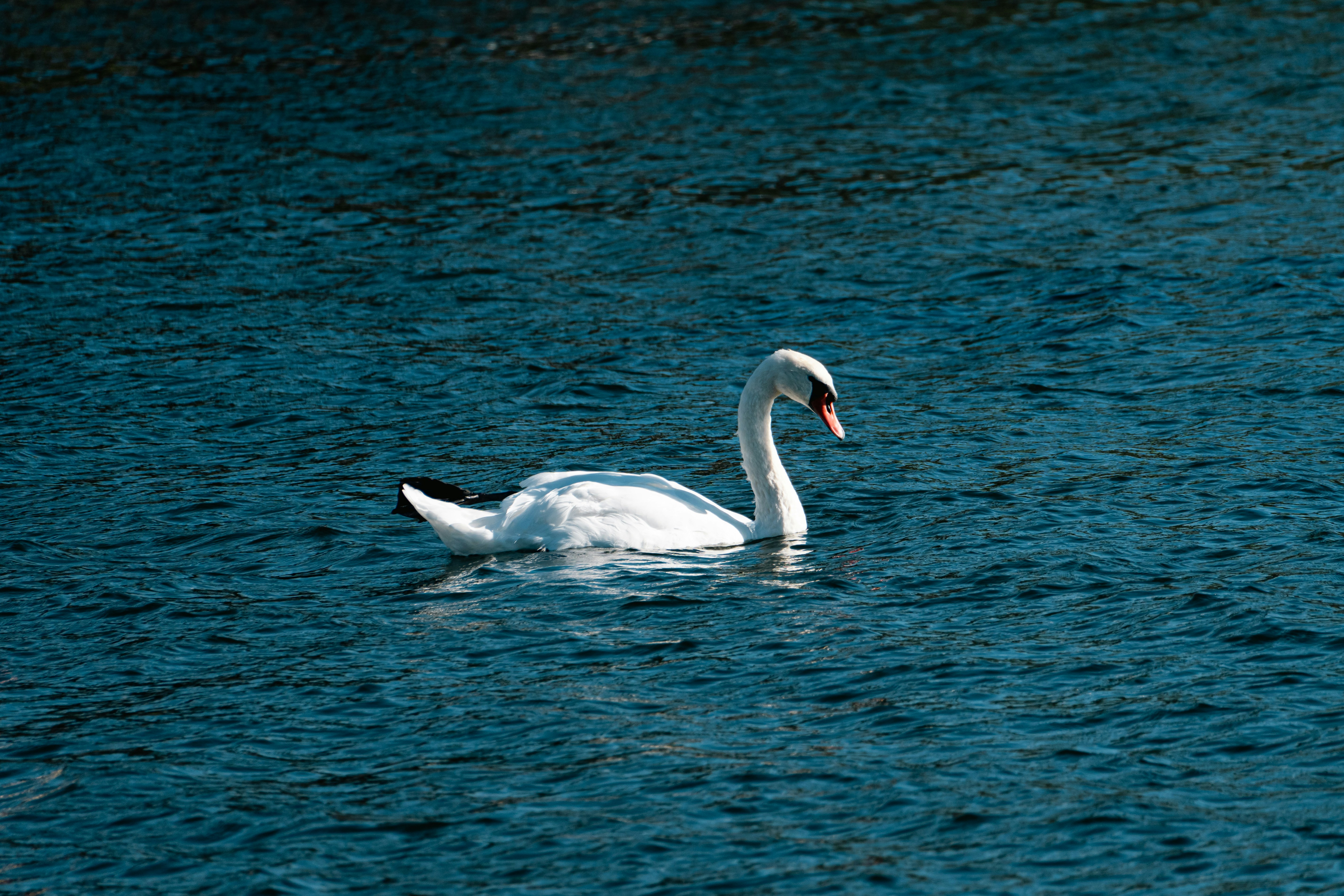 Photo by jan_ledermann