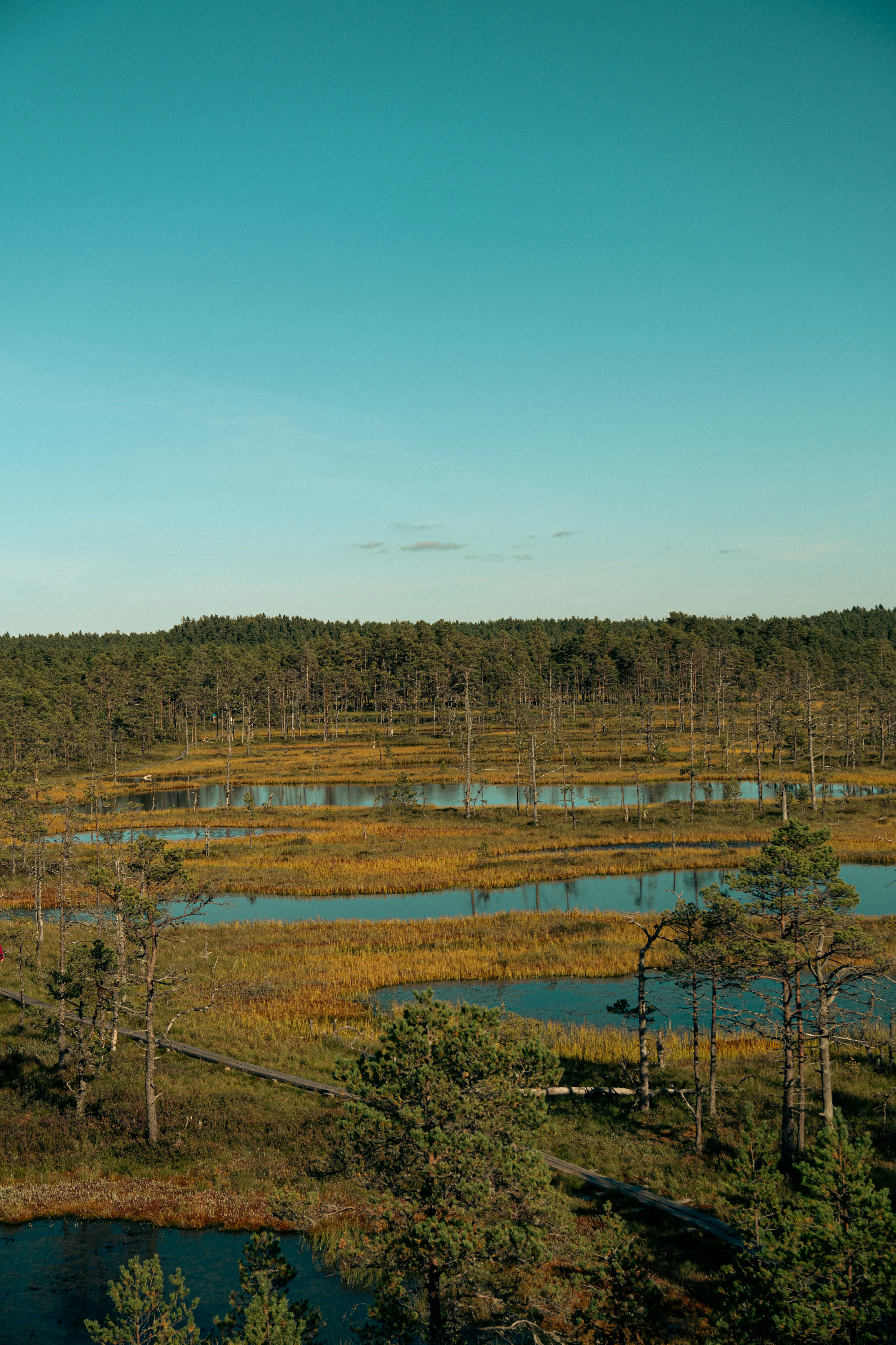 Photo by jan_ledermann