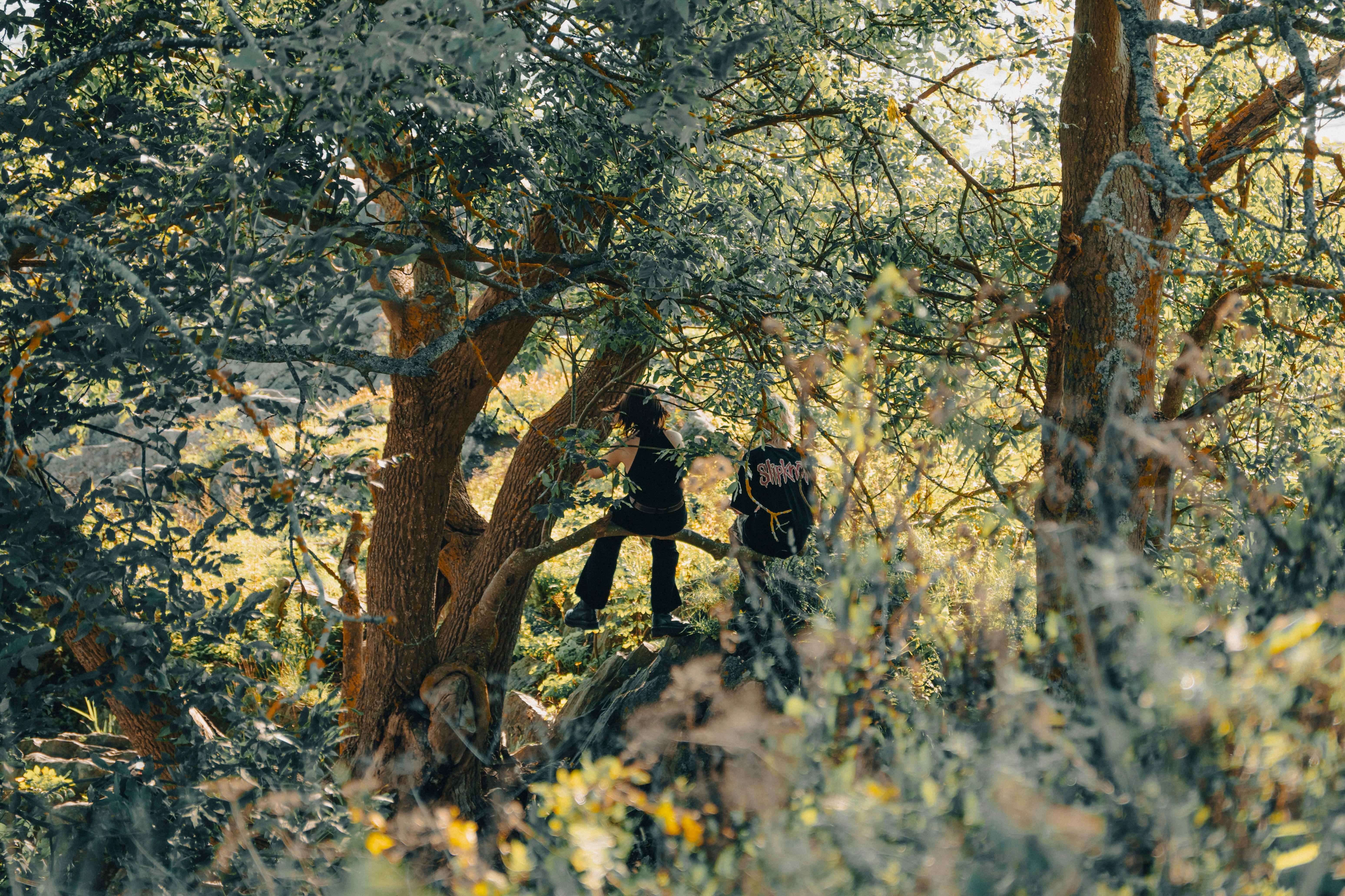 Legal Frameworks and Enforcement Challenges (image credits: unsplash)