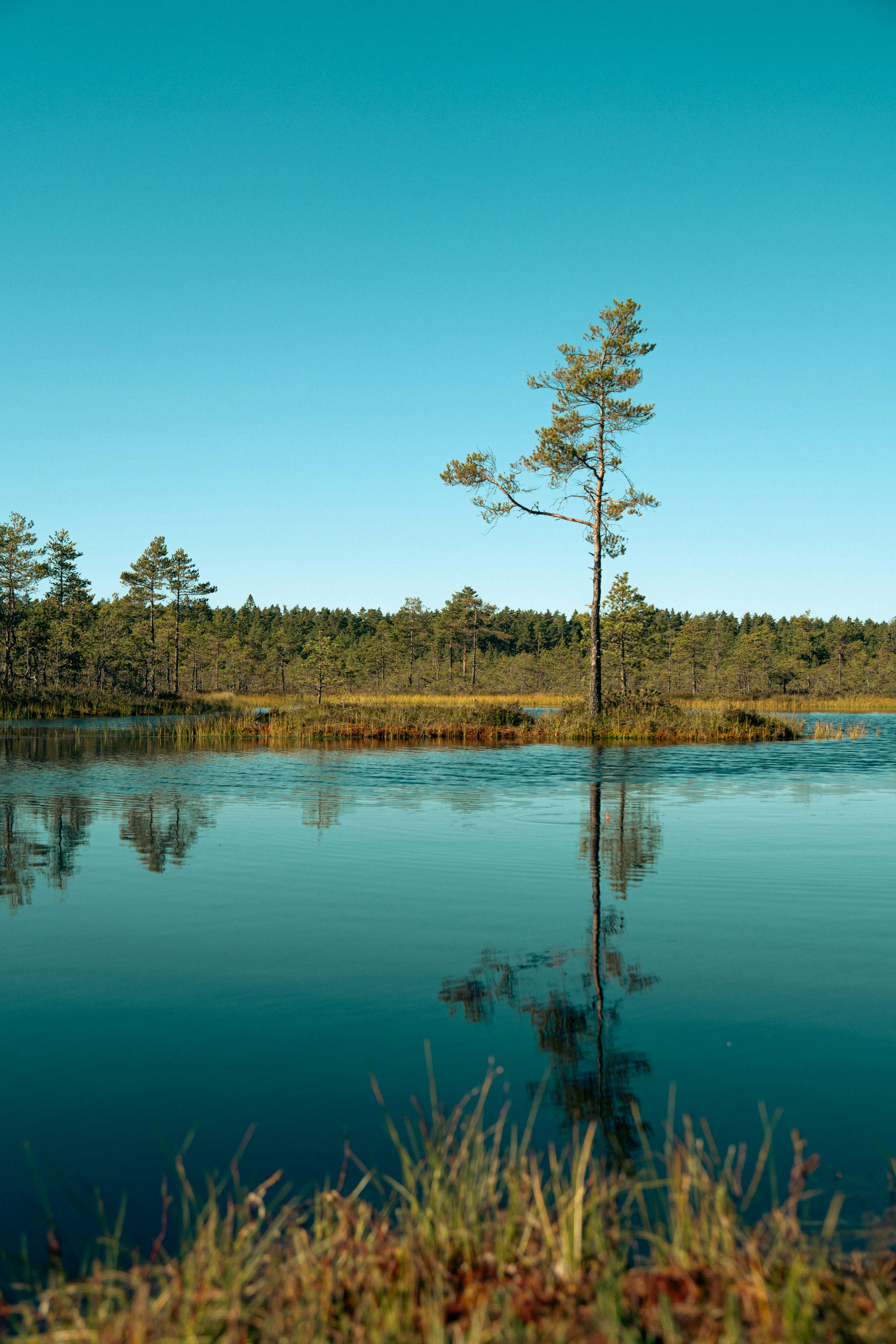 Photo by jan_ledermann