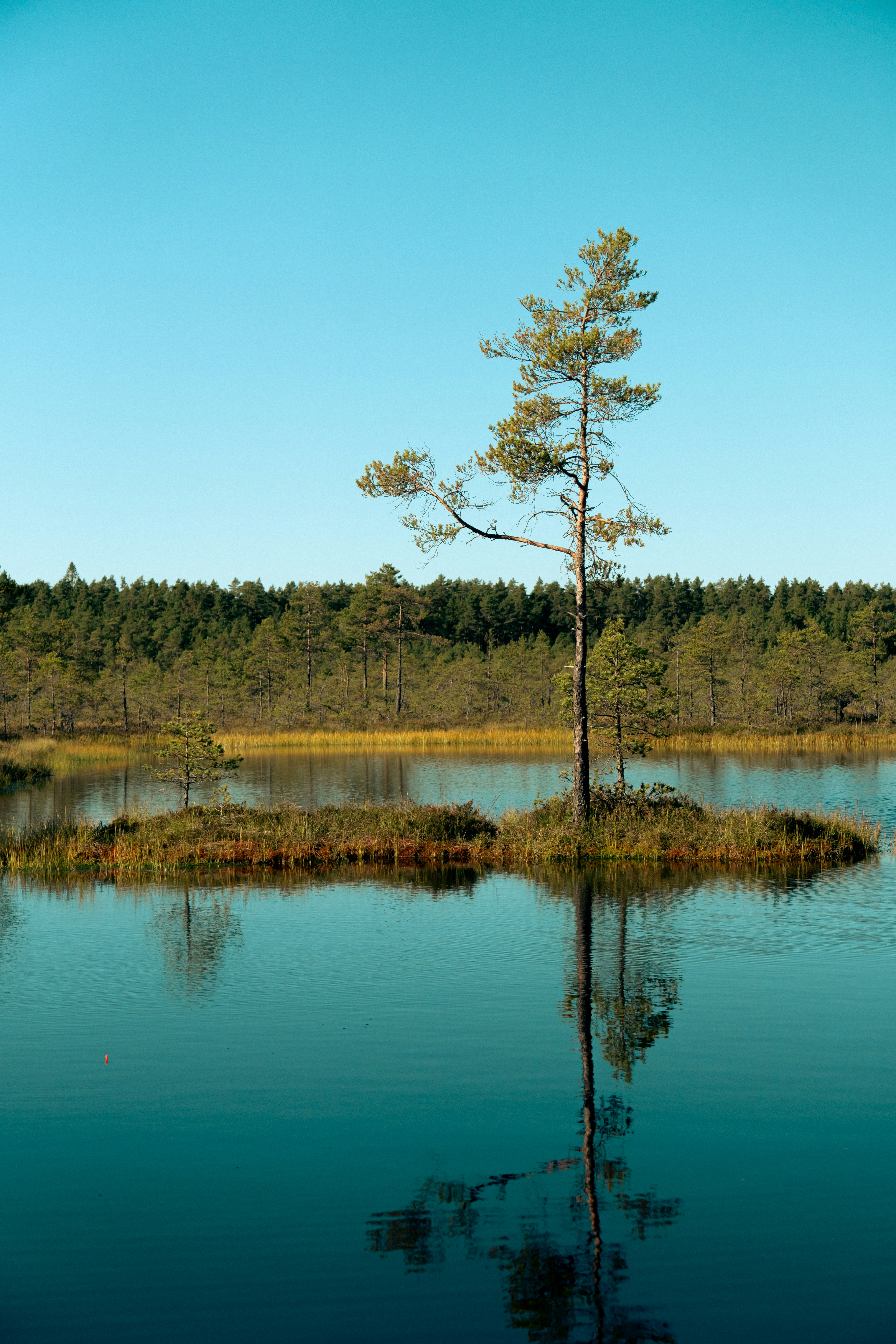 Photo by jan_ledermann