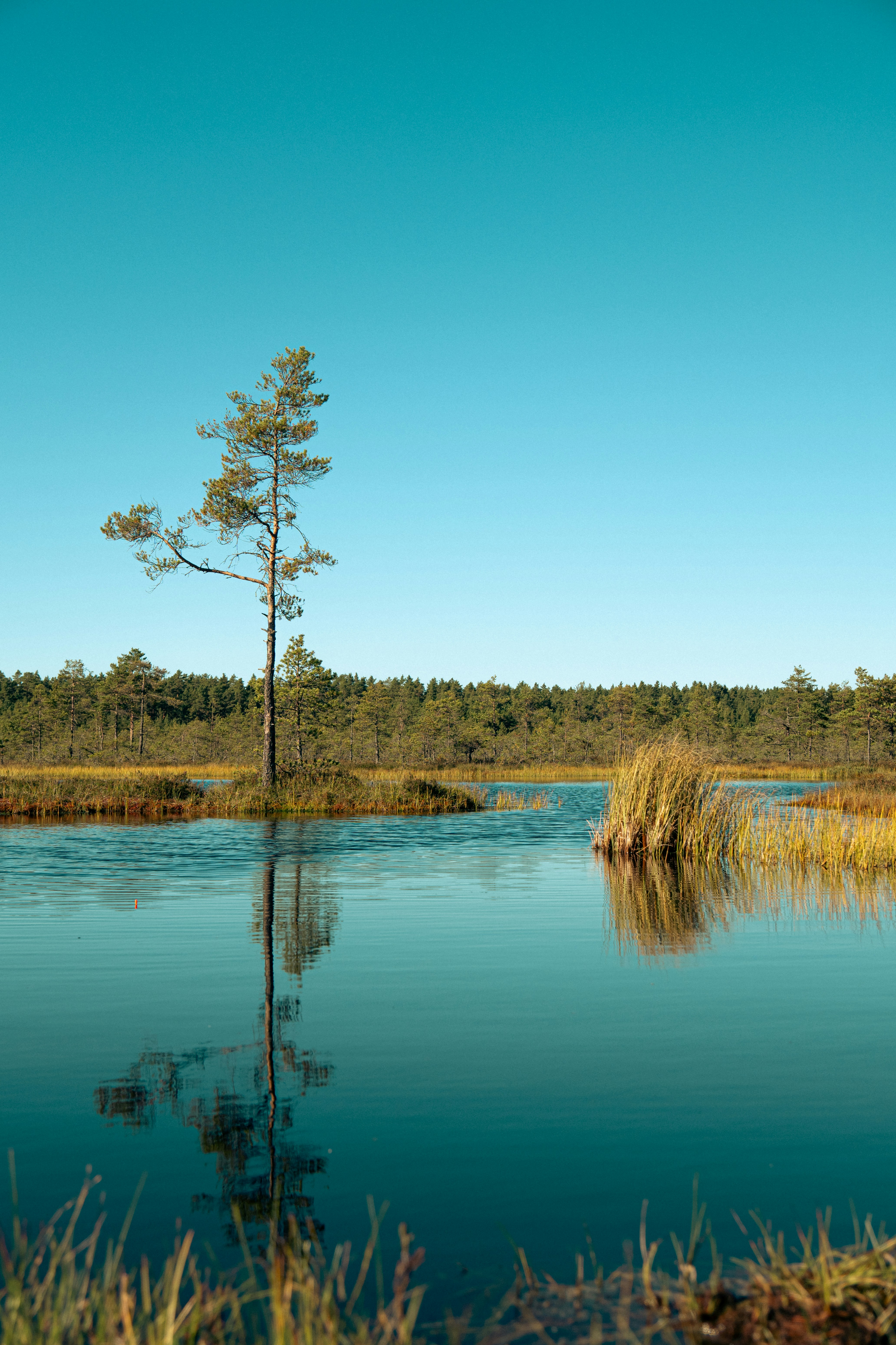 Photo by jan_ledermann