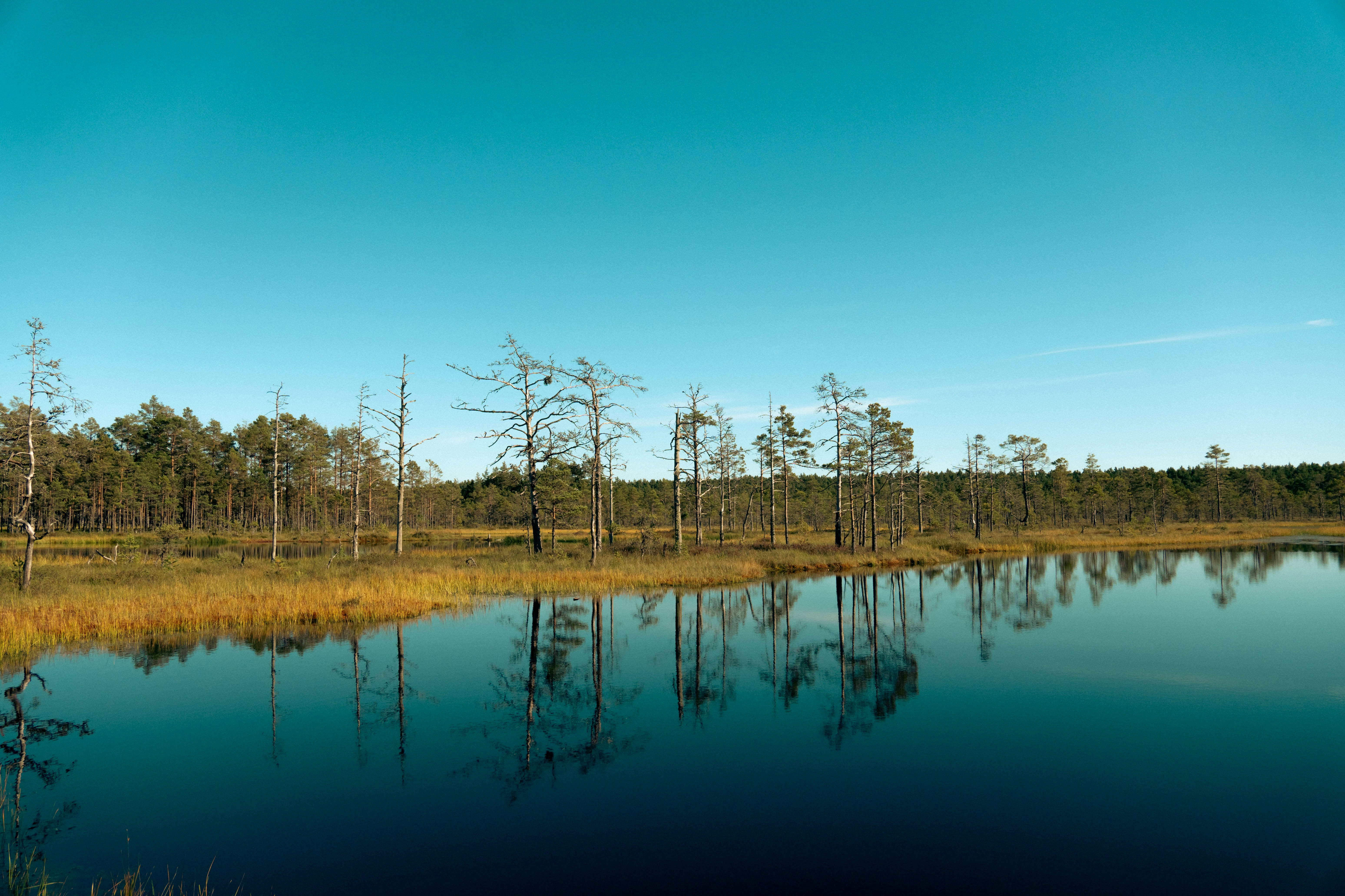 Photo by jan_ledermann