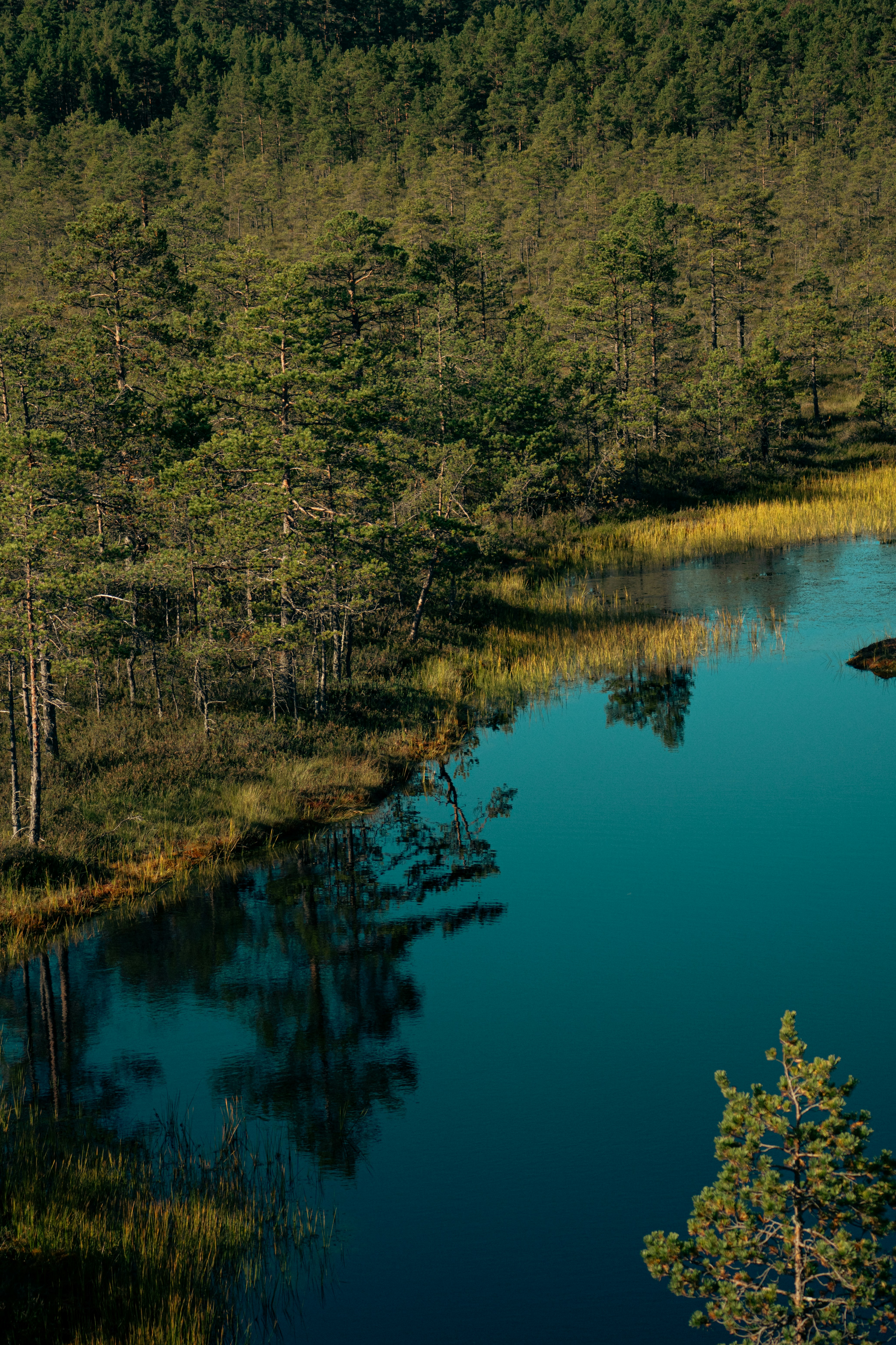 Photo by jan_ledermann