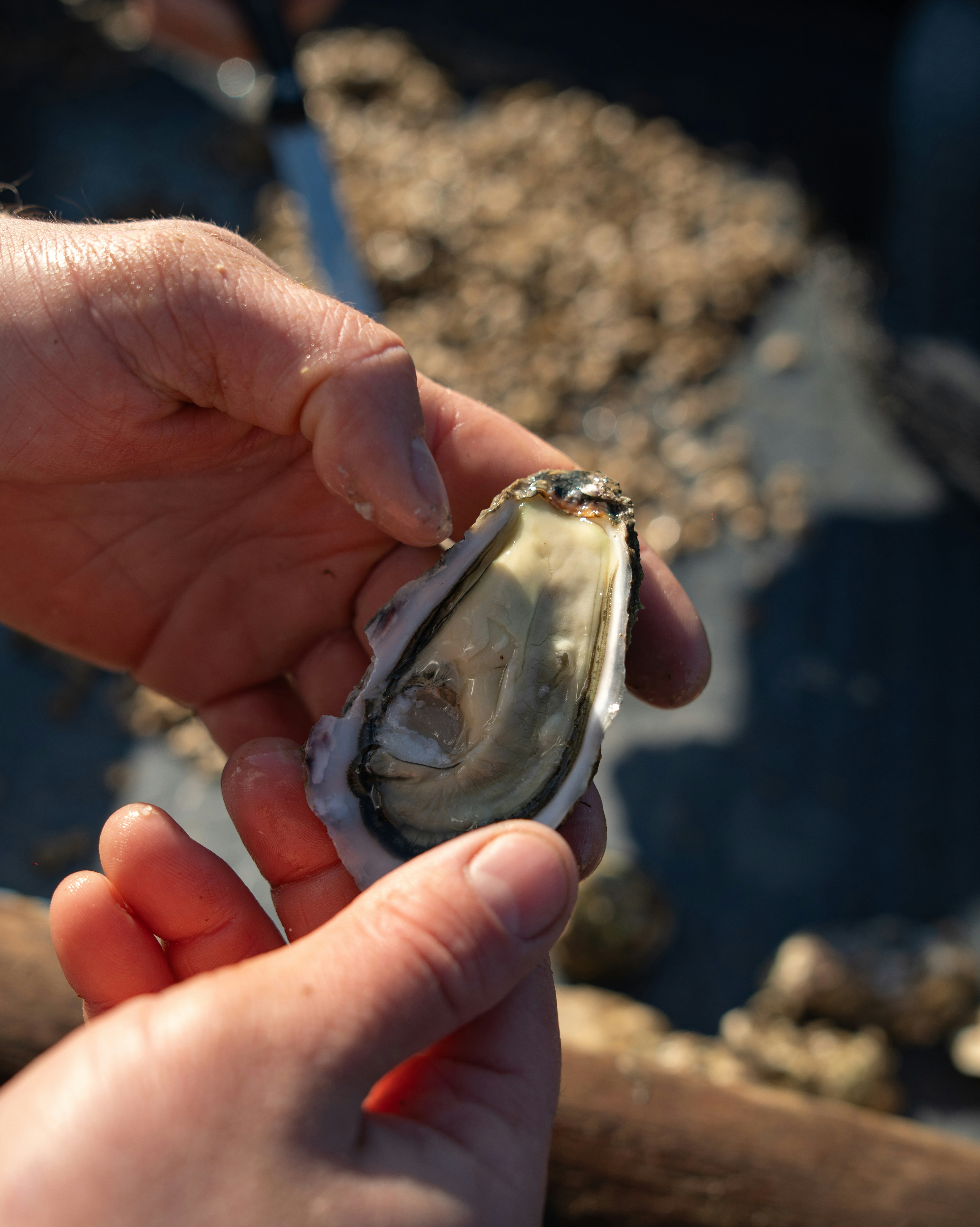 Photo by mitiliemitili