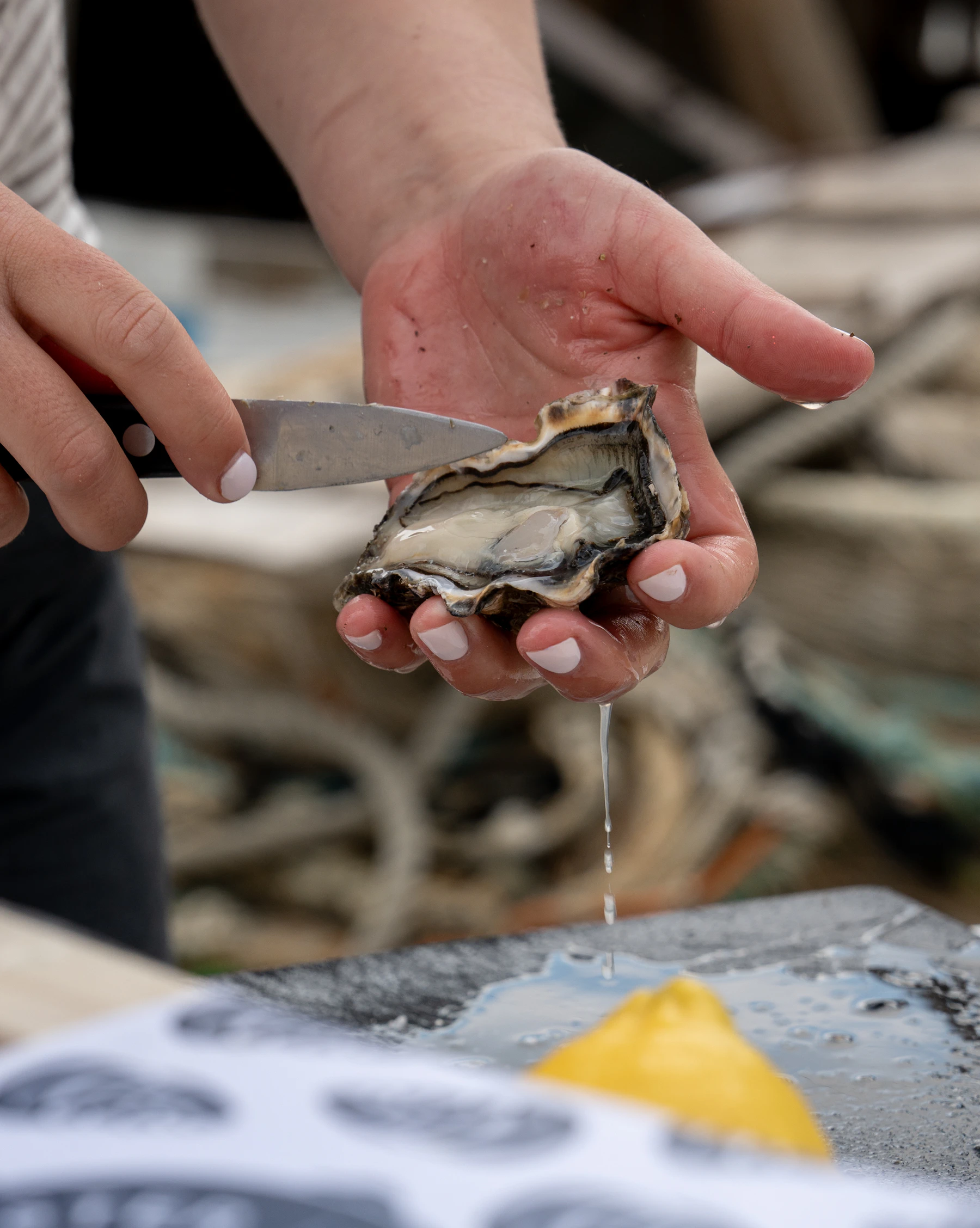 An opened oyster held level in a palm, its liquor dripping from the shell