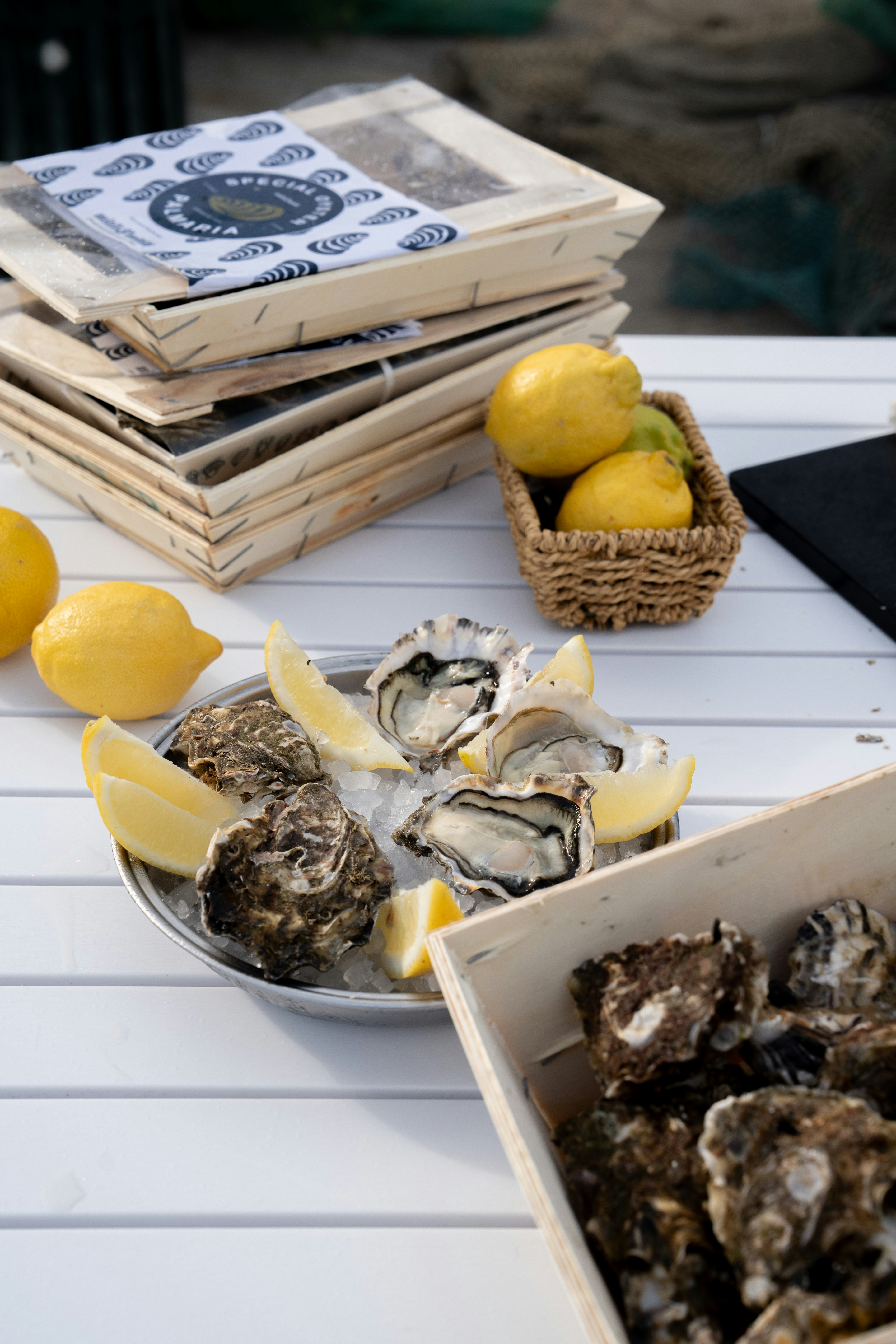 Photo by mitiliemitili