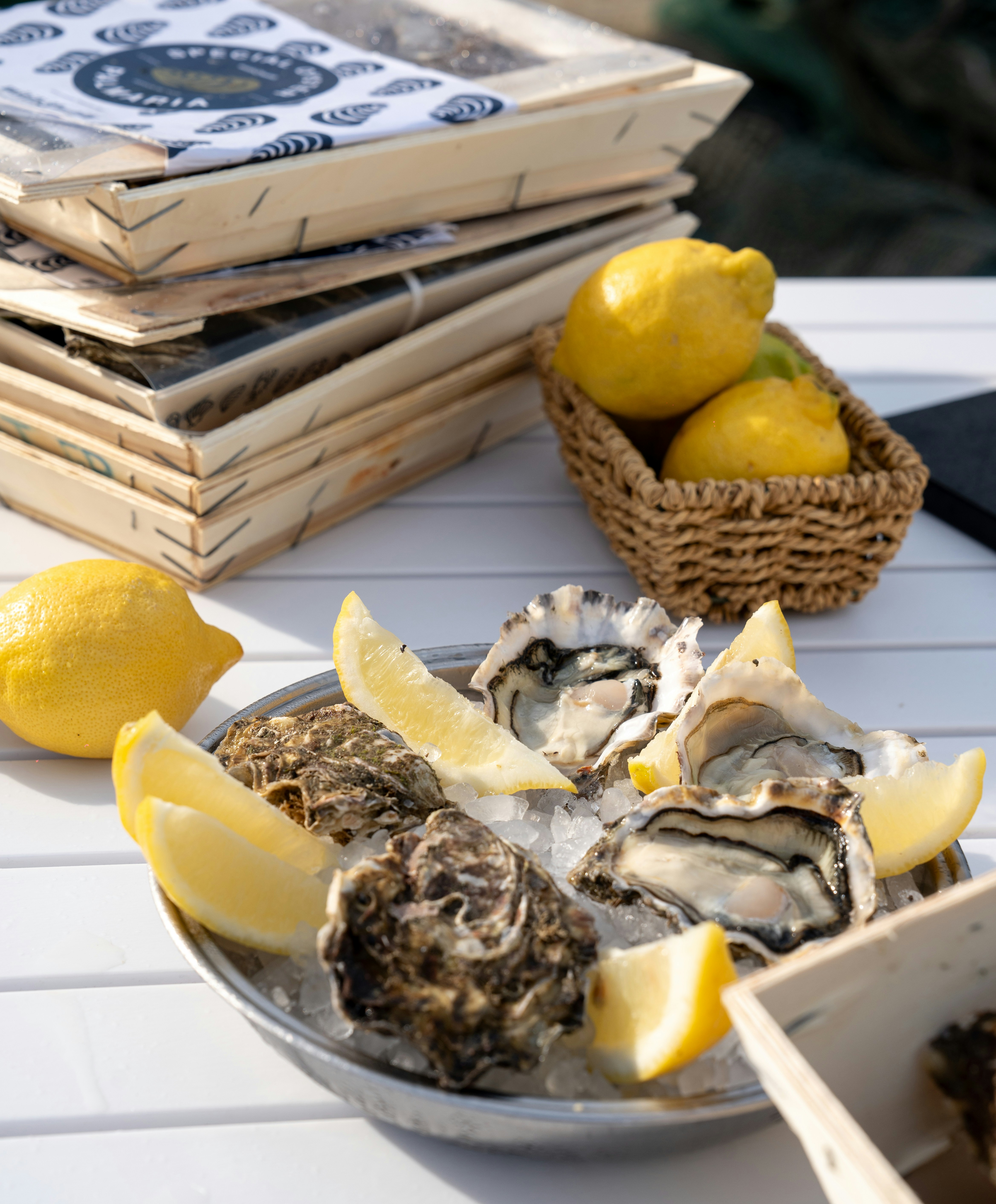 Photo by mitiliemitili