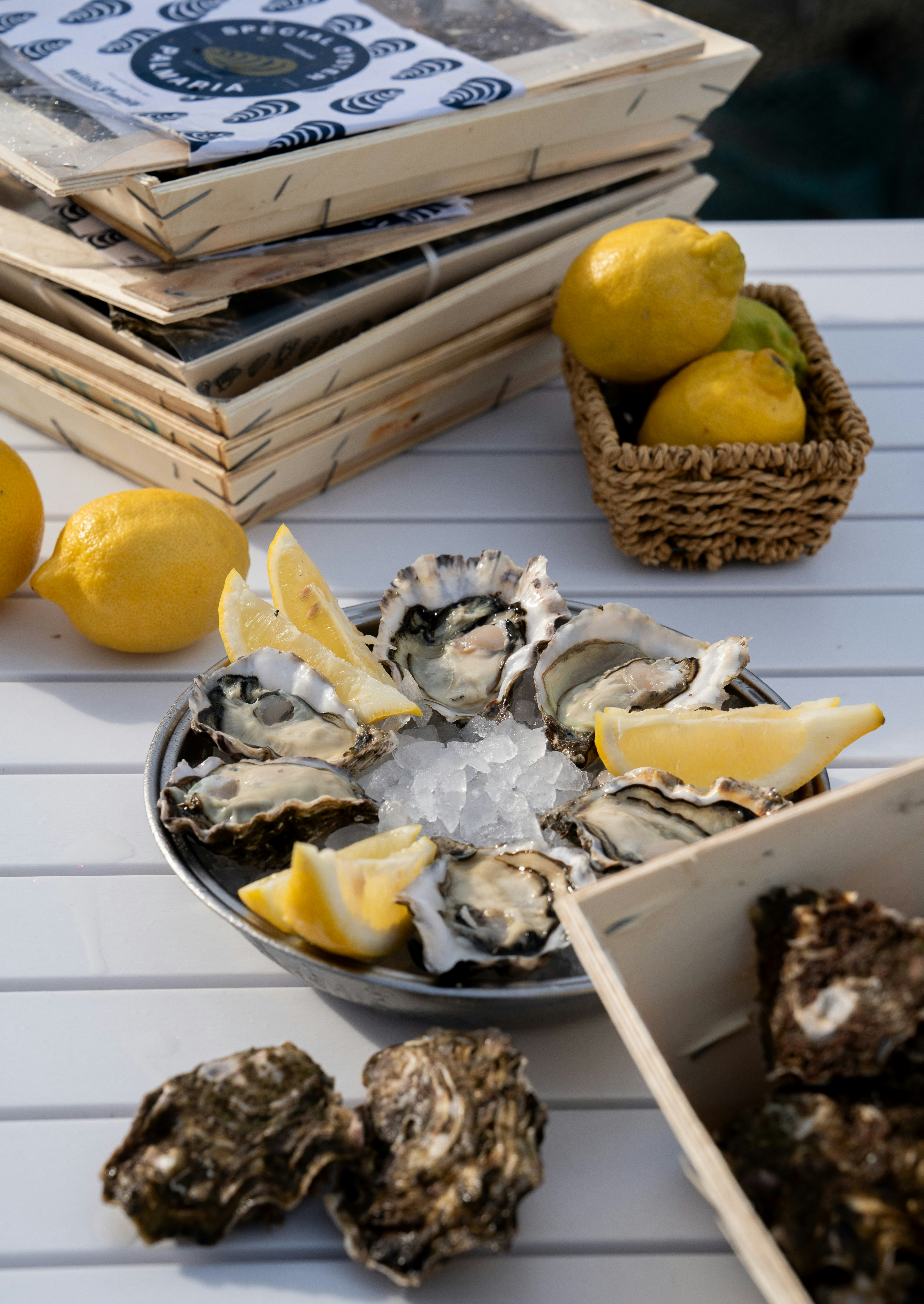 Photo by mitiliemitili