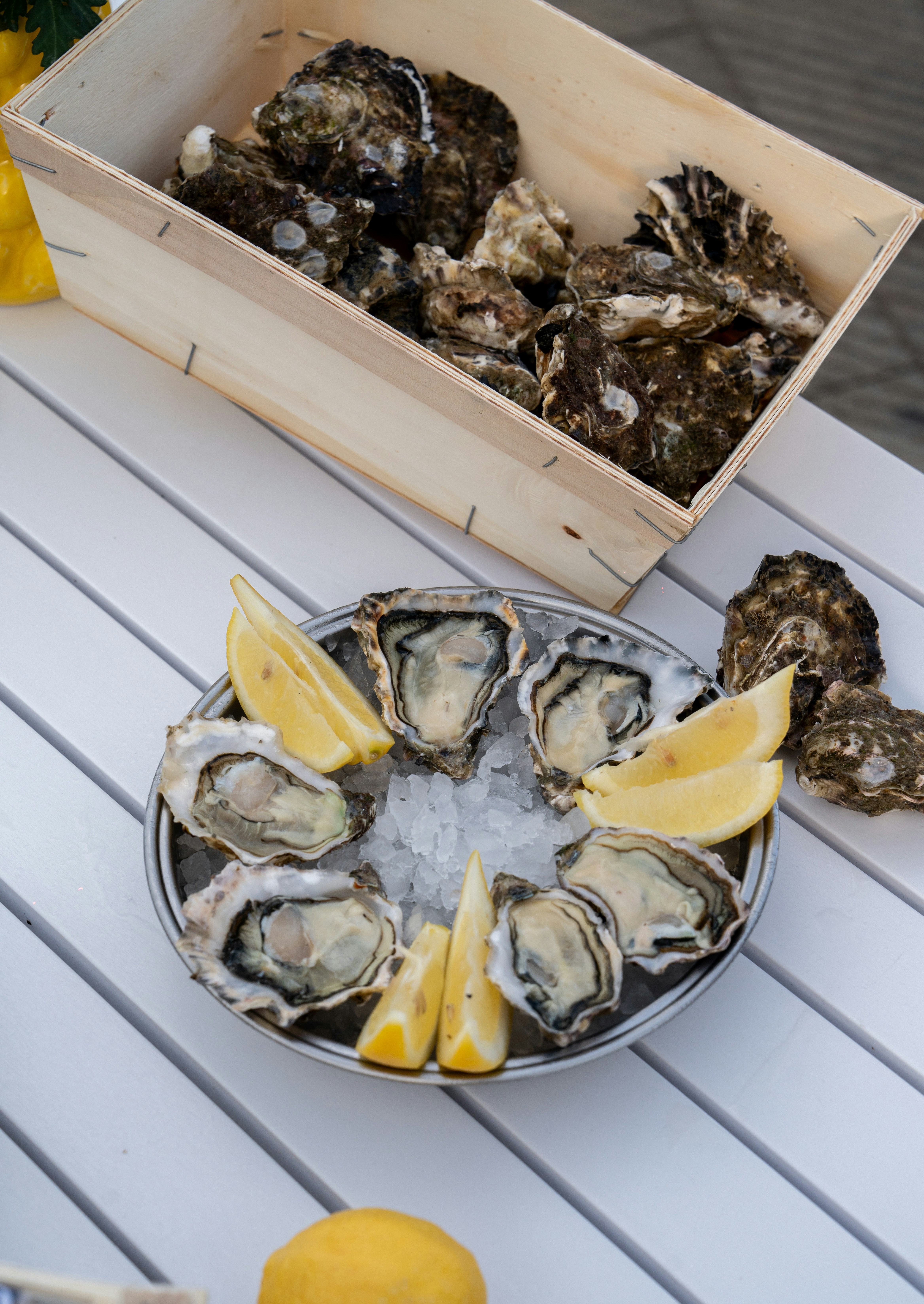 Photo by mitiliemitili