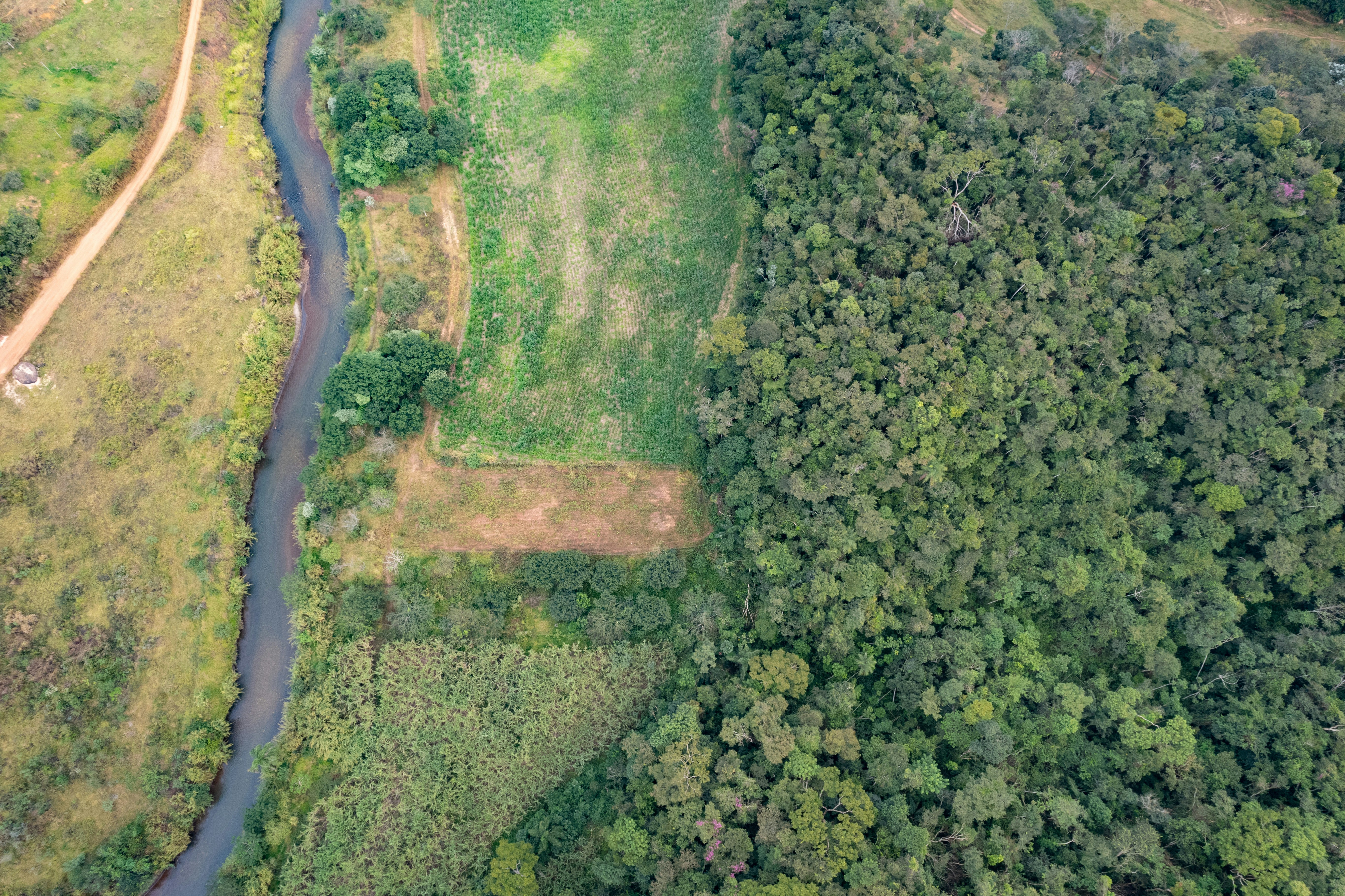 An aerial view of a river running through a lush green forest