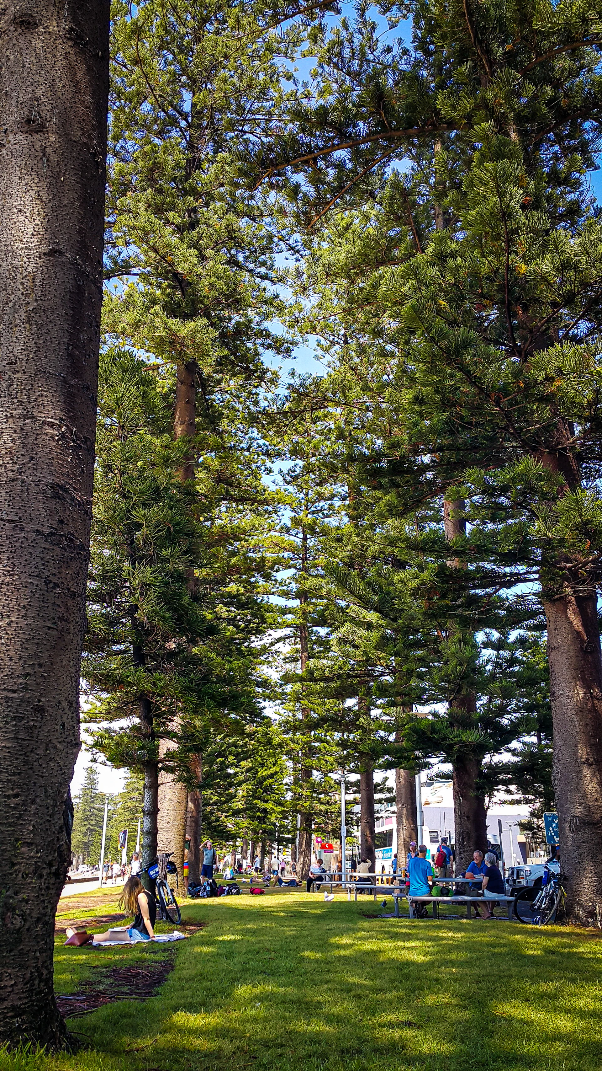 A group of people sitting on a bench in a park