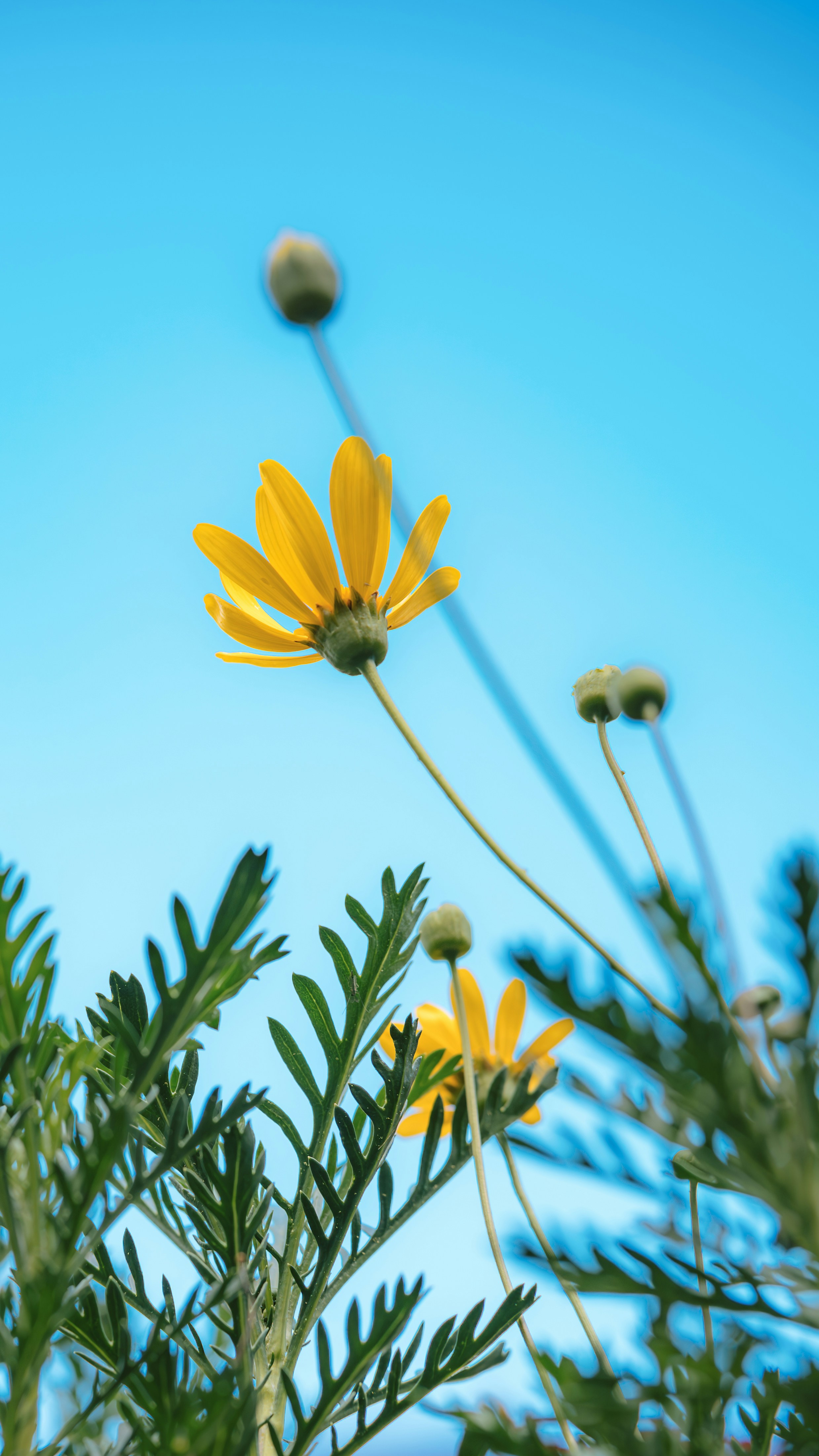 Photo by wangbinghua