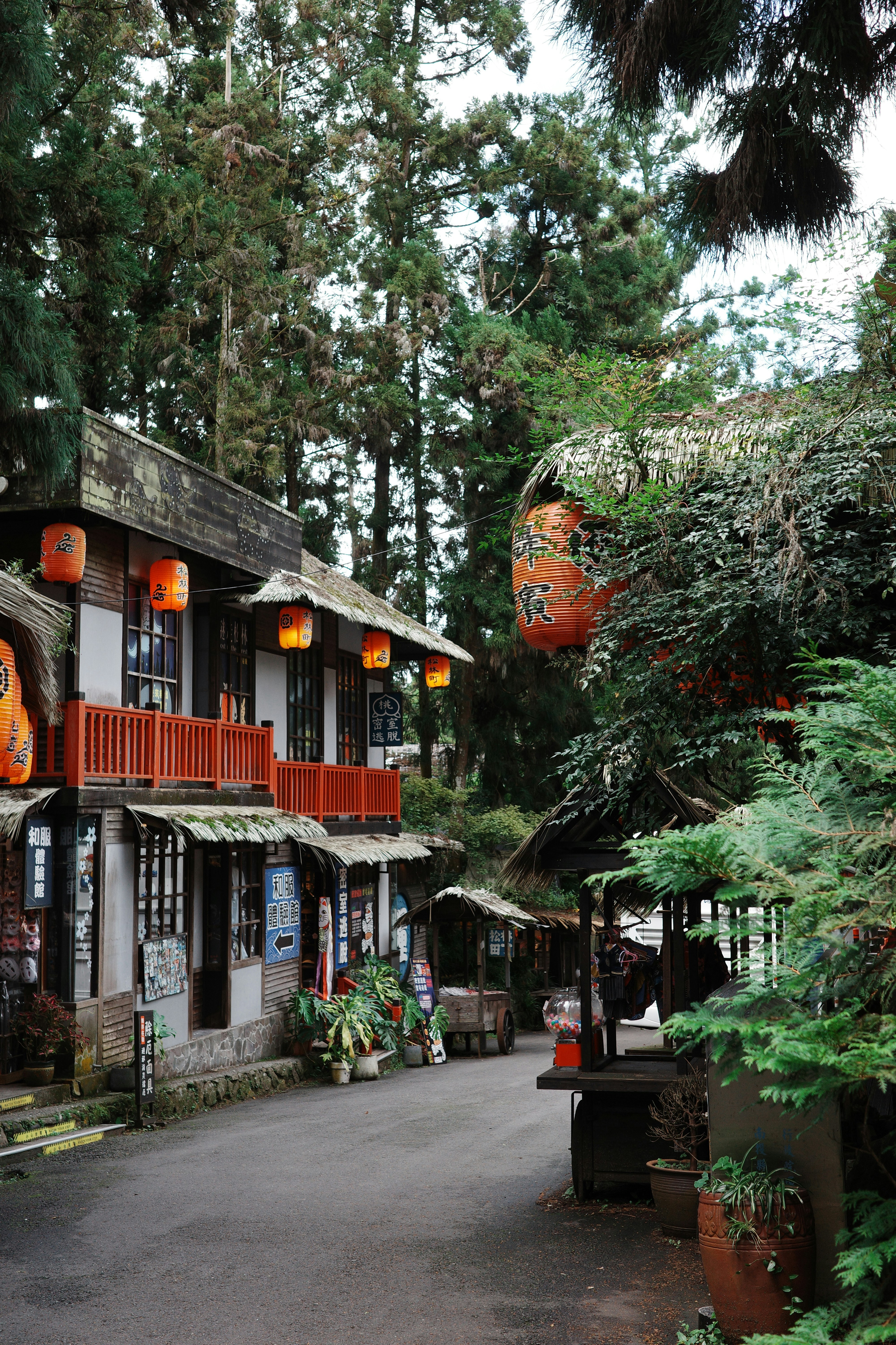 Traditional Japanese street with wooden merchant houses and stone-paved laneway, warm afternoon light filtering through cedar trees