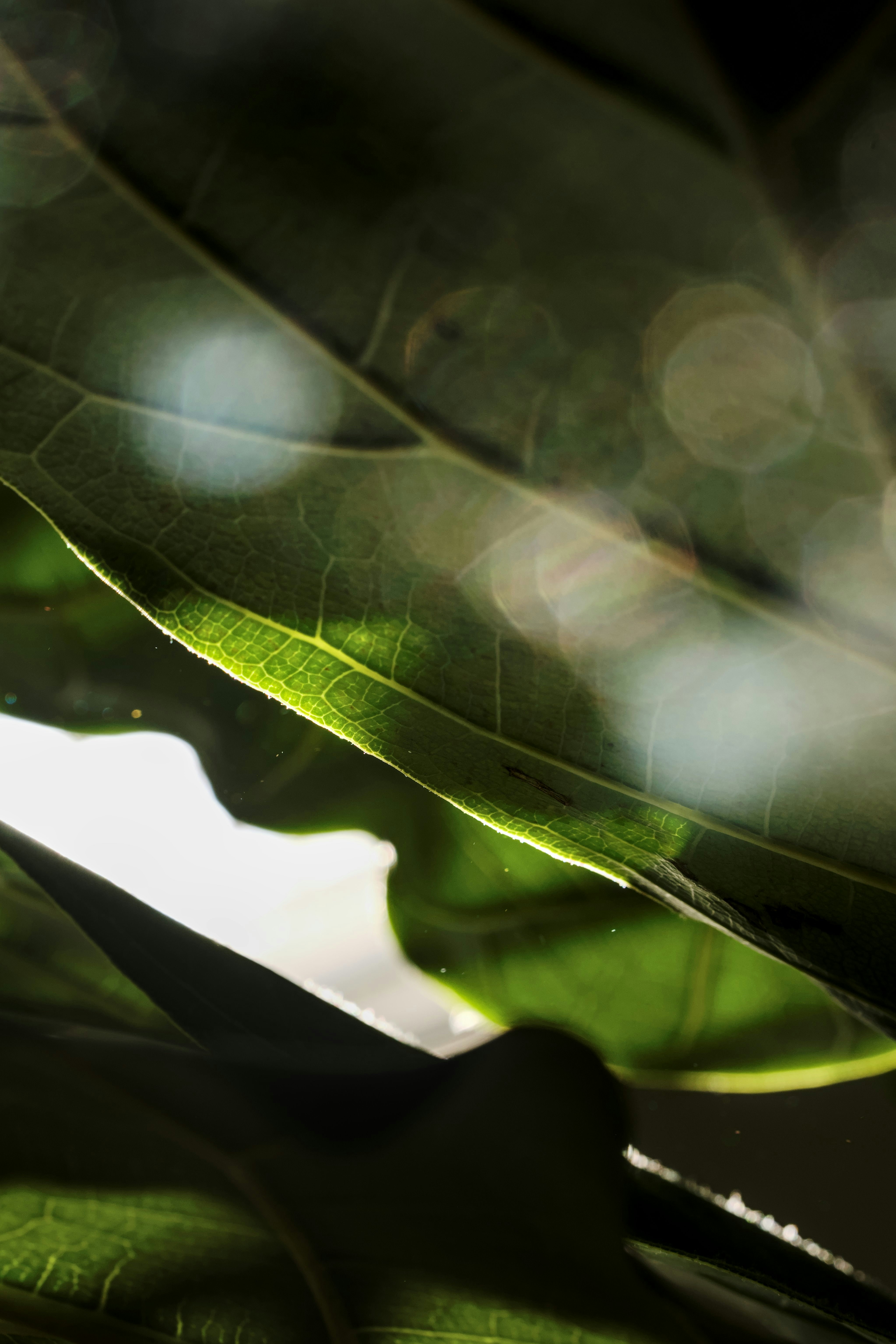 Photo by btcarpenter