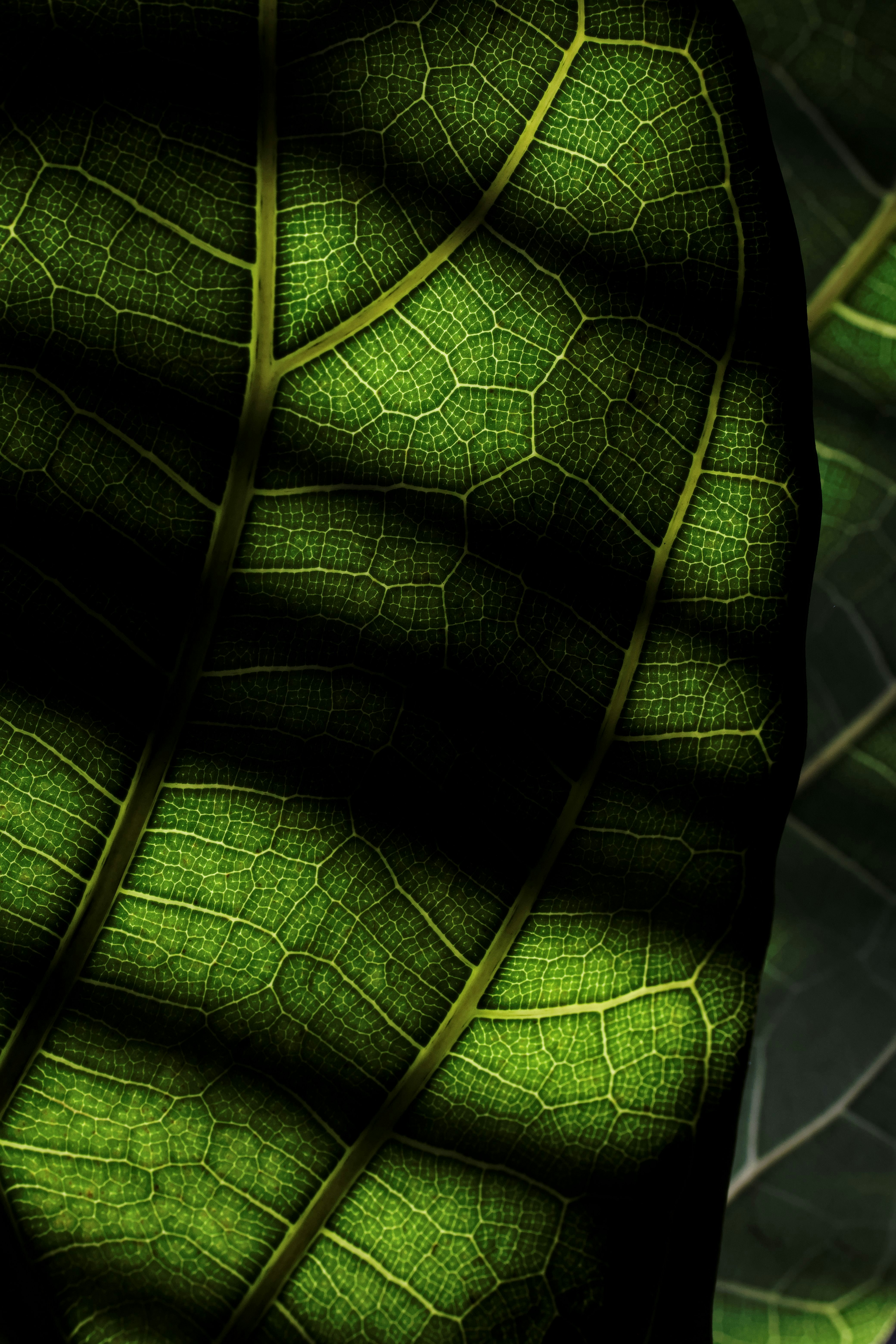 Photo by btcarpenter