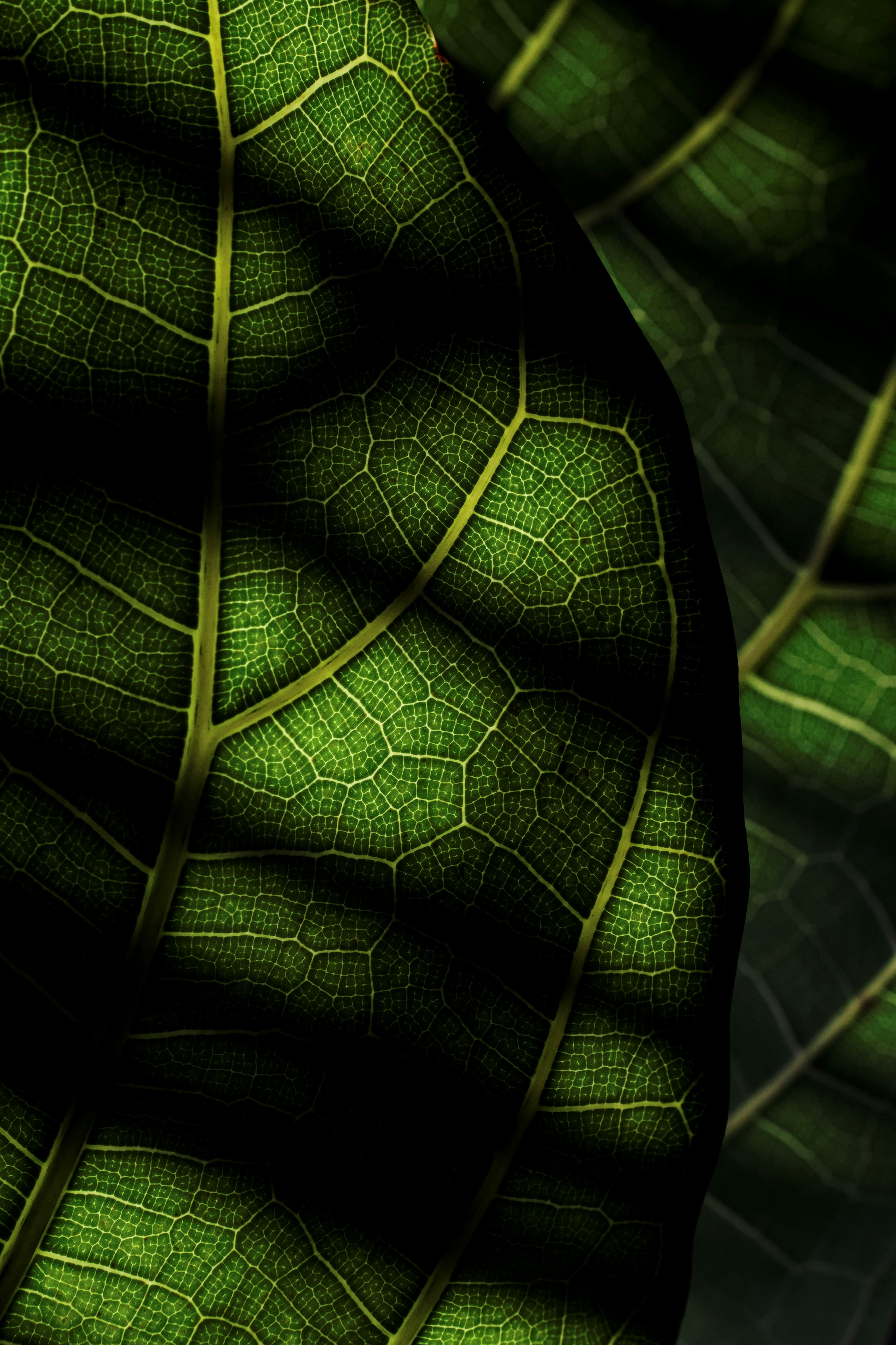 photo-1729277313860-dc8e58565920