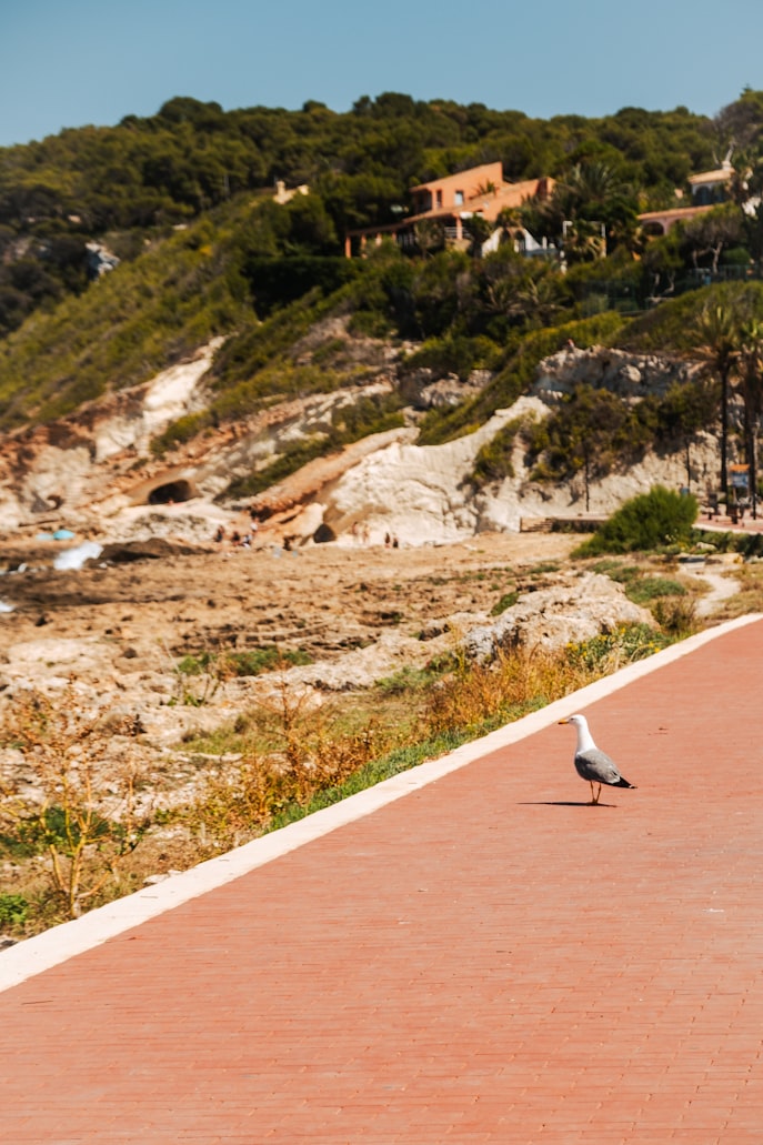 Playa del Postiguet, Alicante, Spain