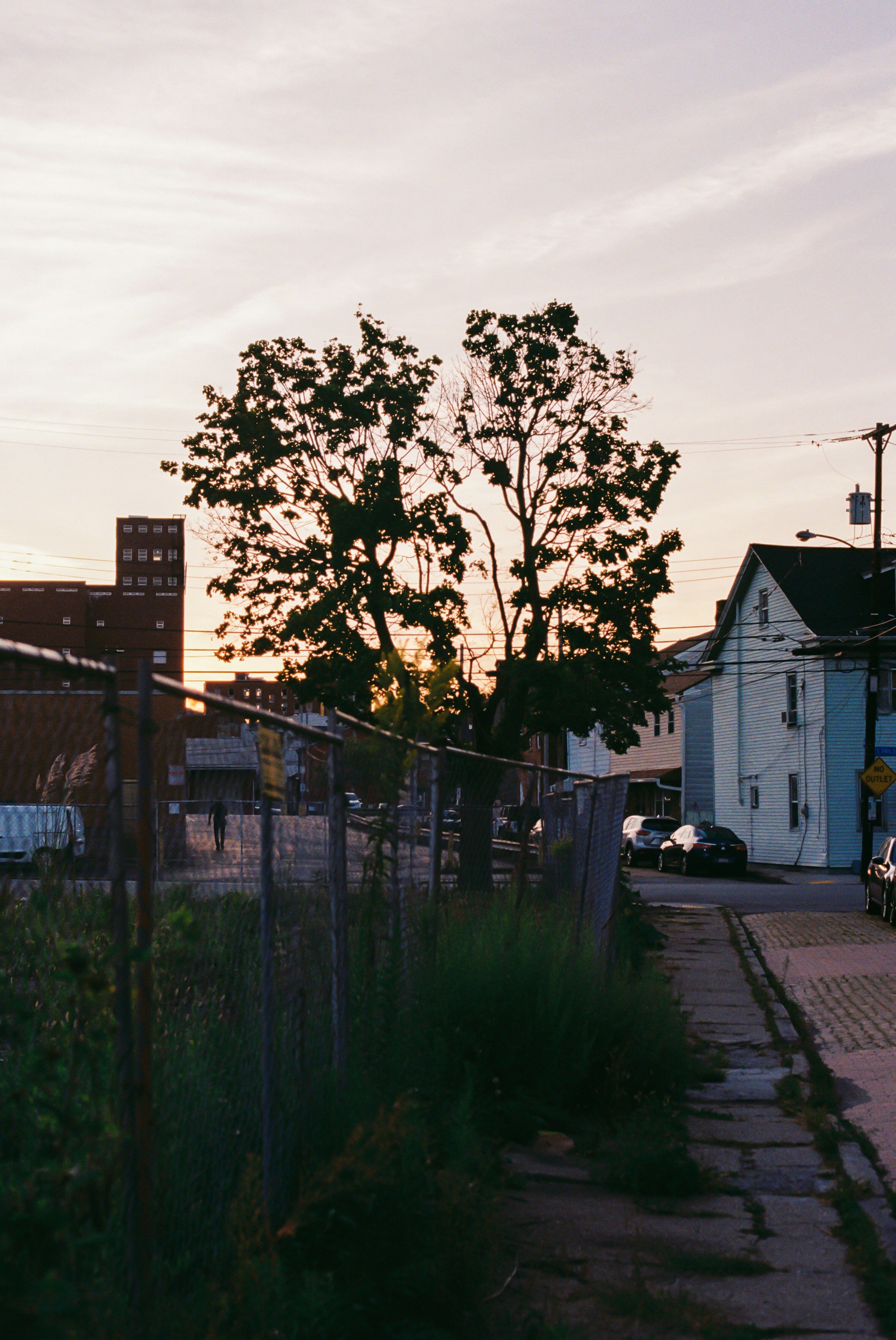 Photo by zhenyao_photo