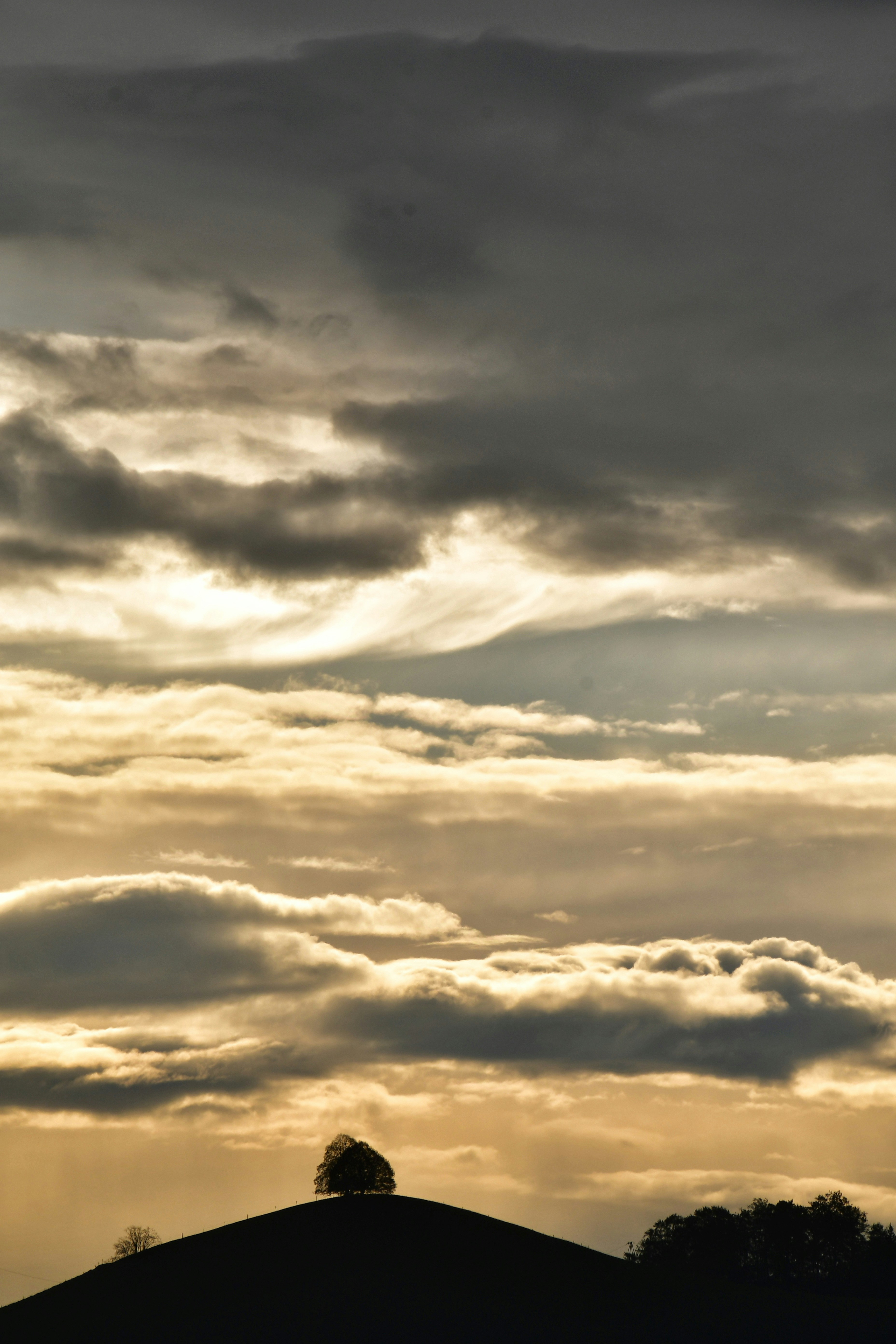 Photo by pedrino5_official