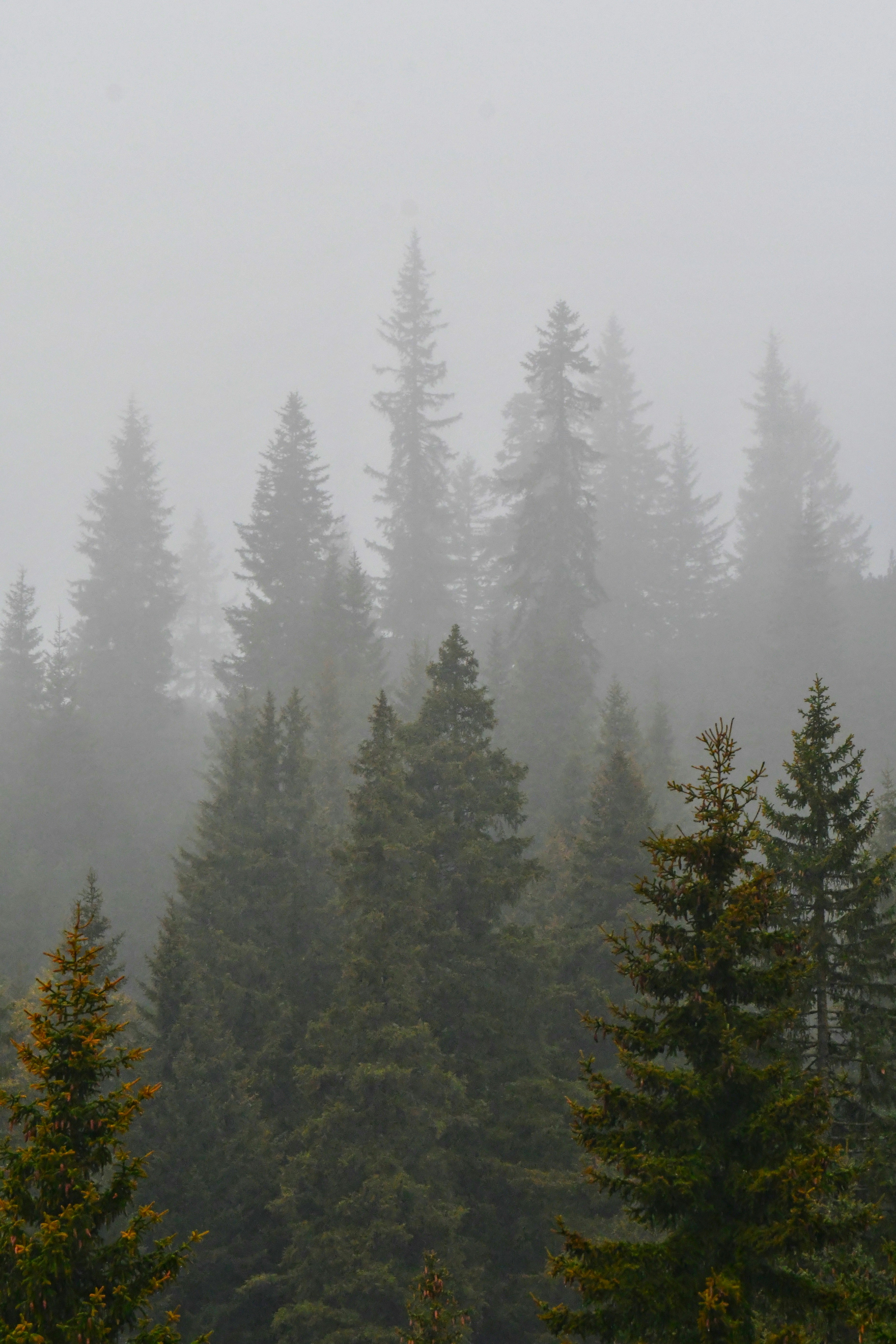 Photo by pedrino5_official