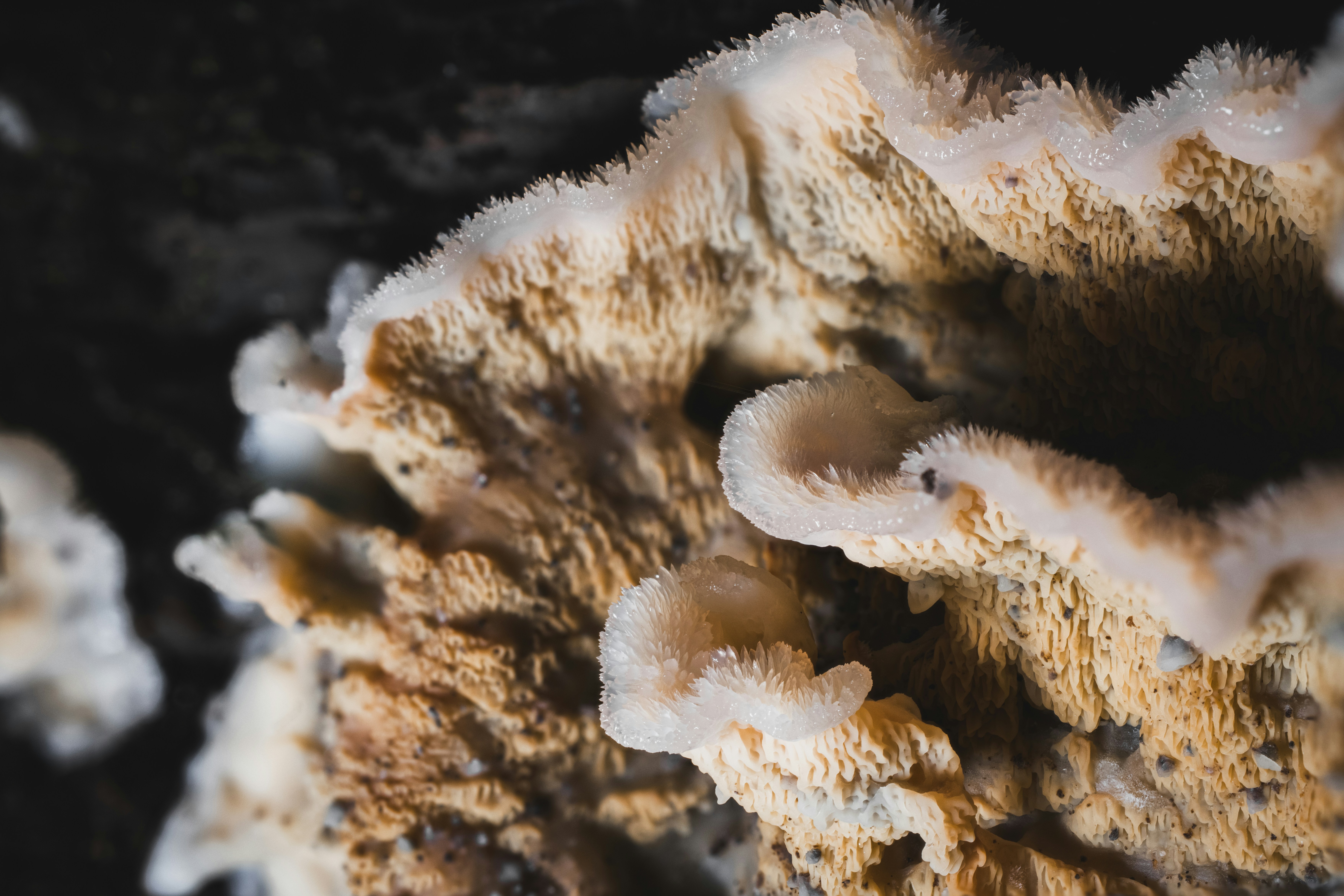 Photo by robertschwarz