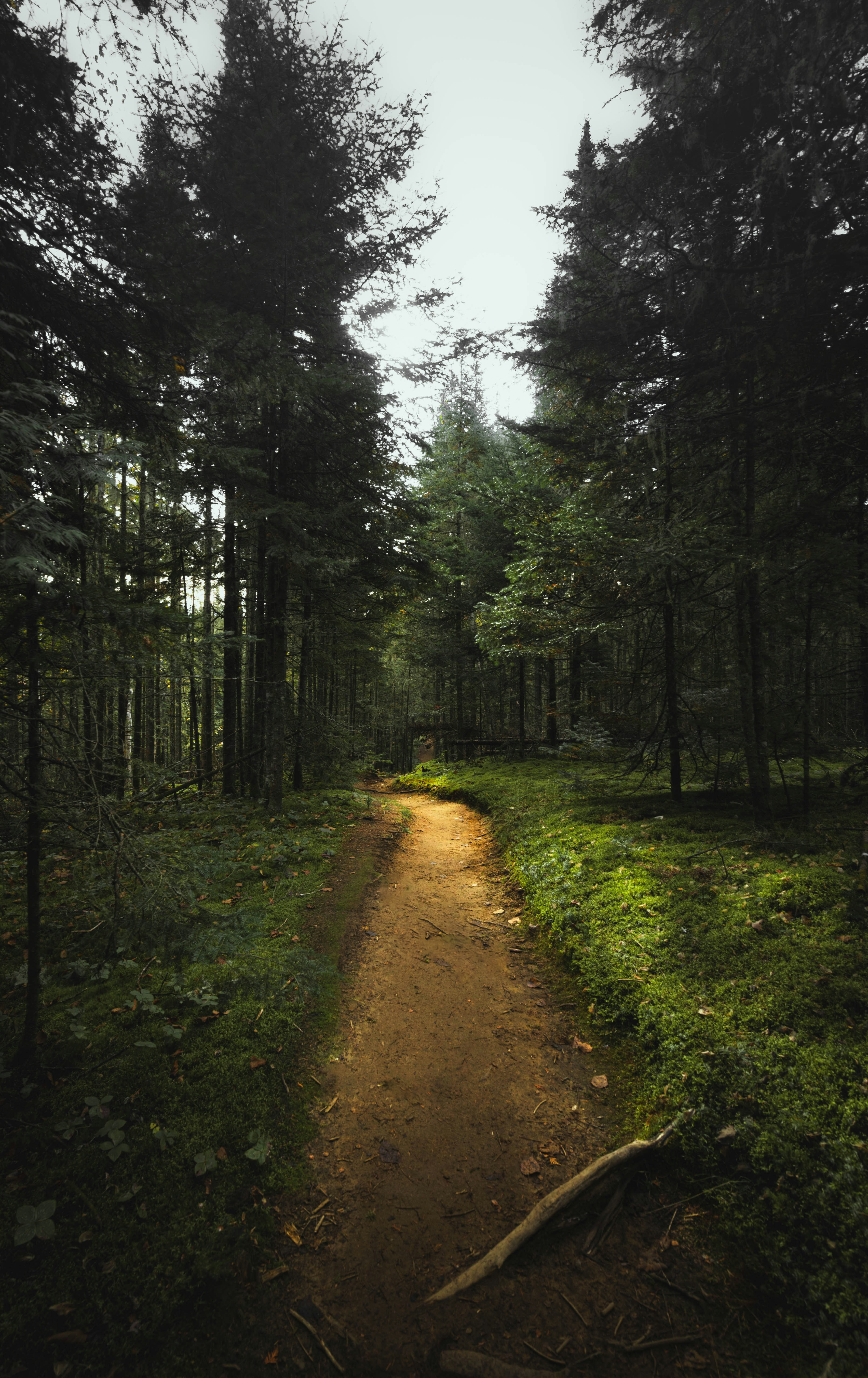 Photo by quentinrogeret