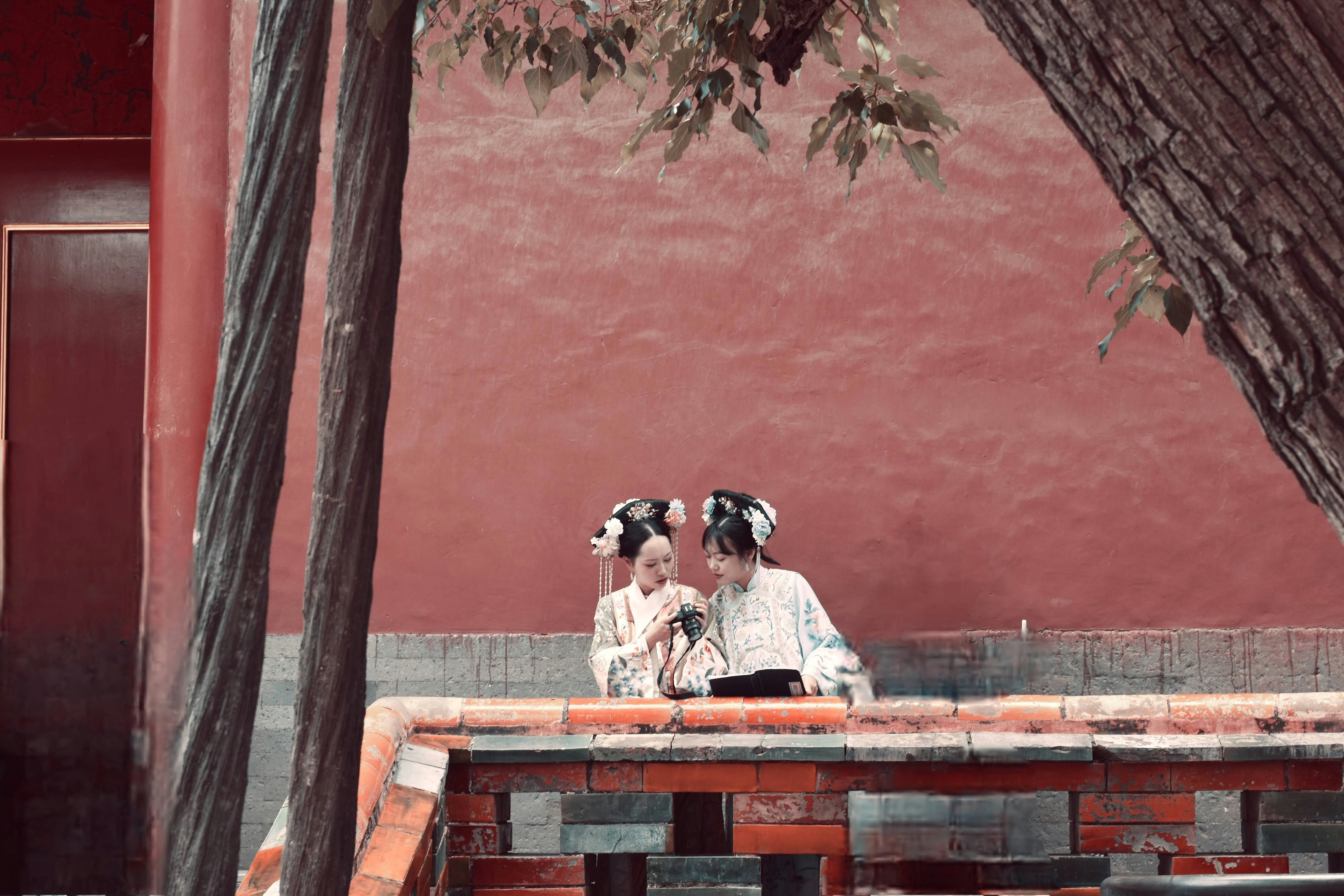 duas pessoas sentando, ligado, um, banco, sob, um, árvore