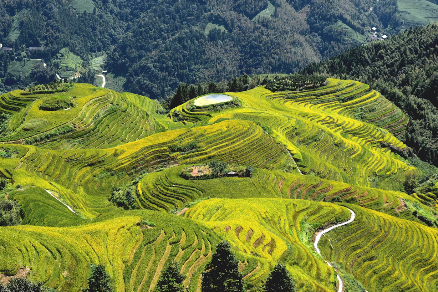 Guilin