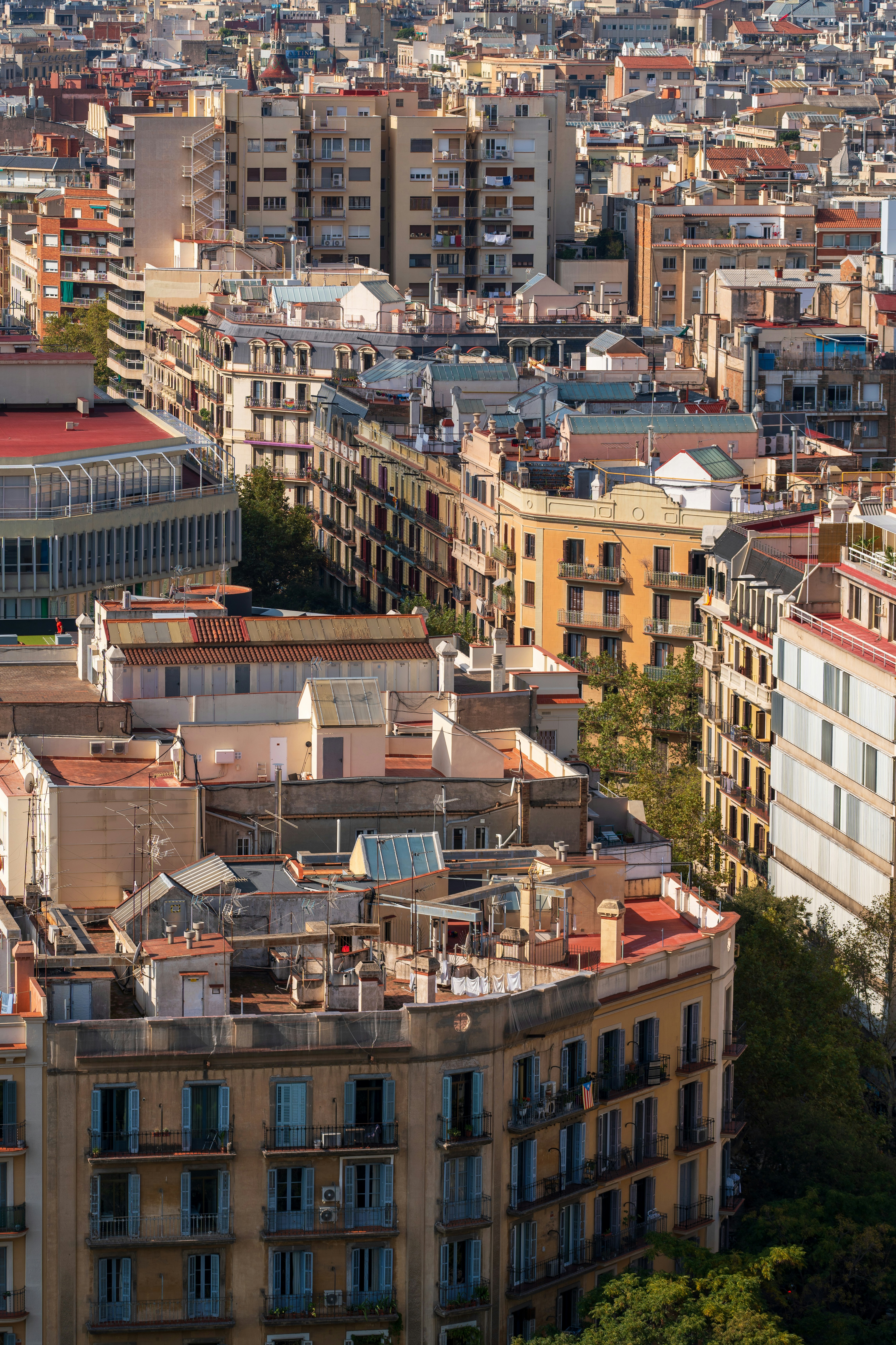A view of a city from the top of a building