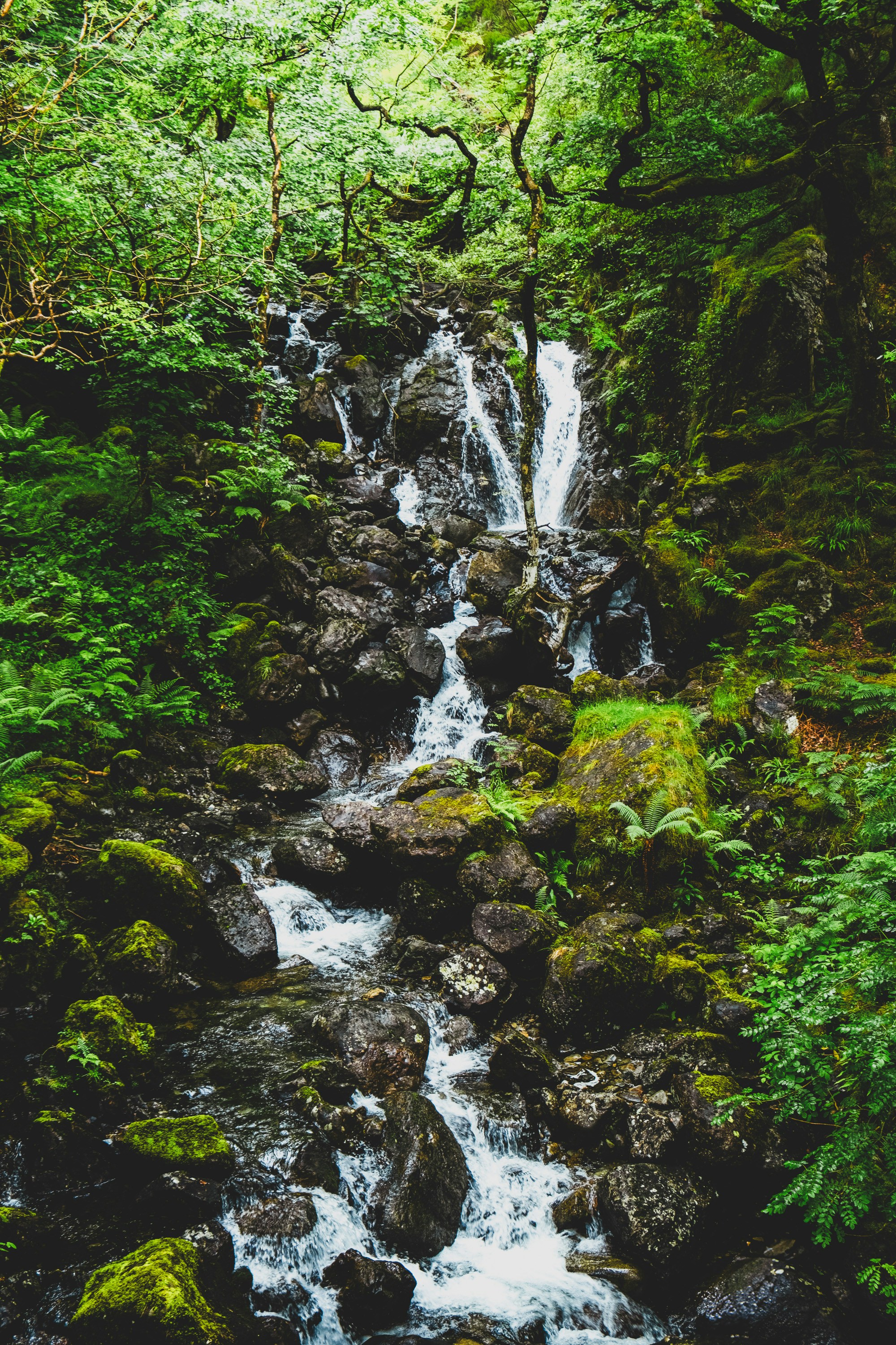 Photo by benjamin_photography