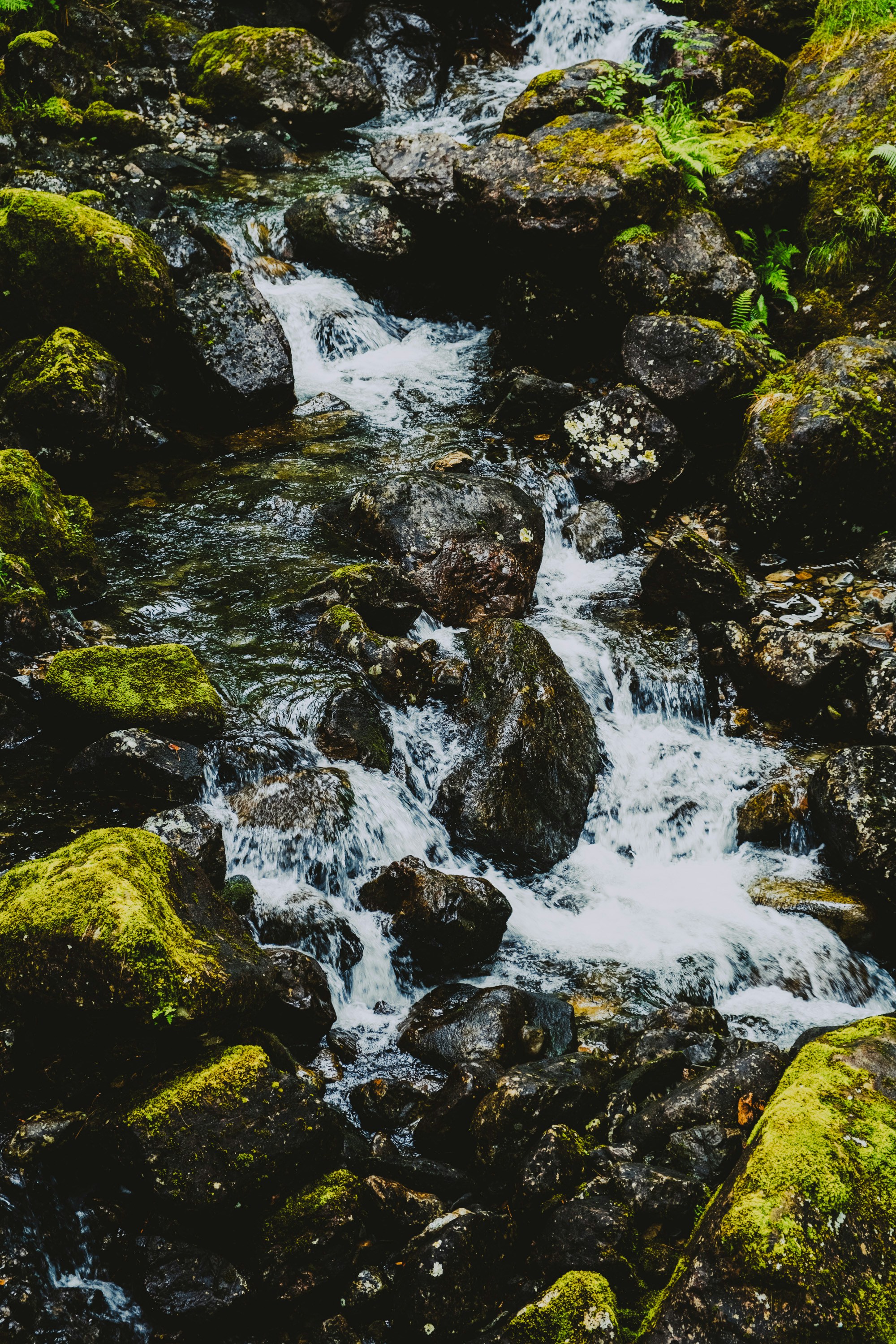 Photo by benjamin_photography