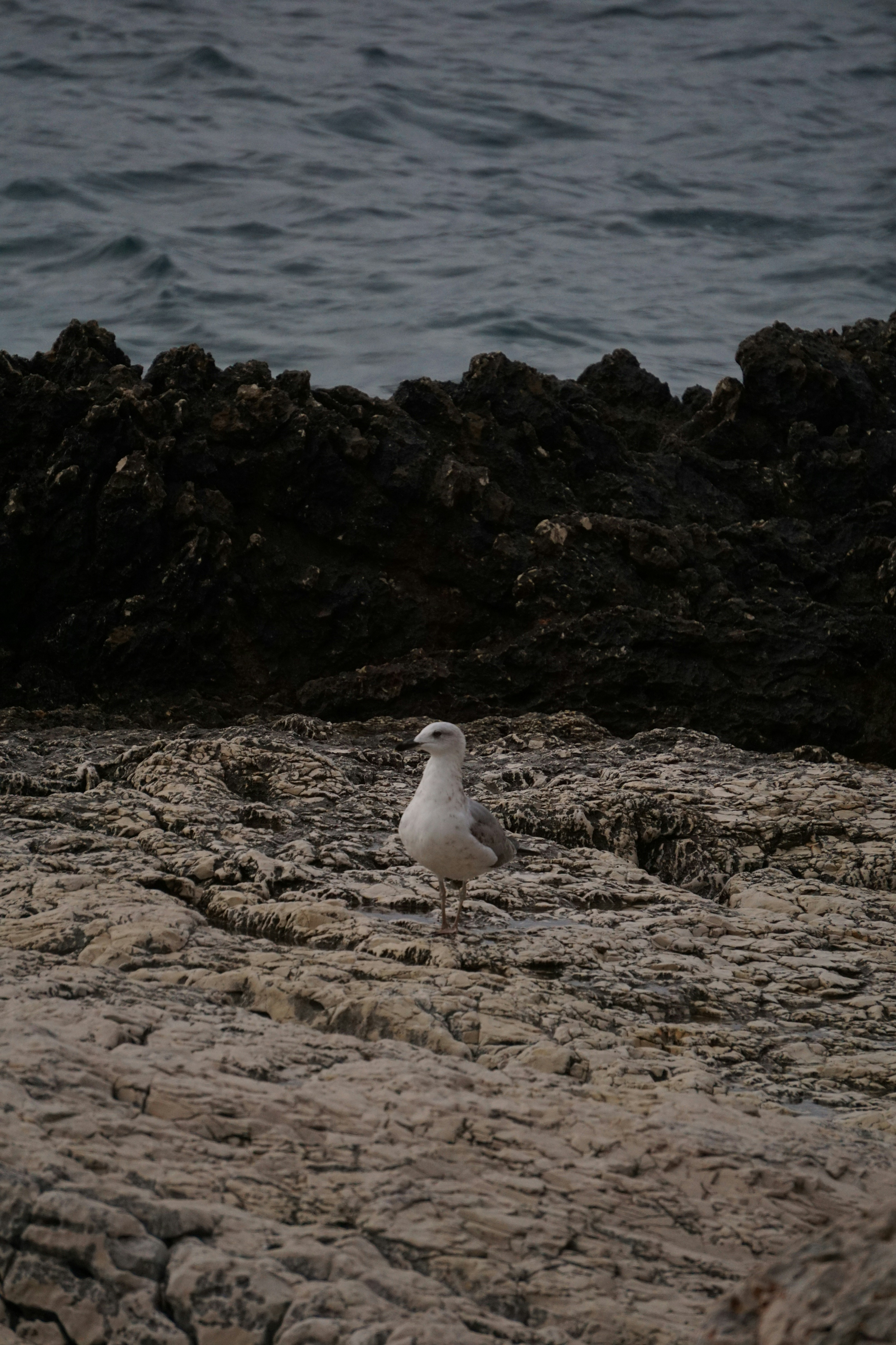 Photo by lovrosklebec
