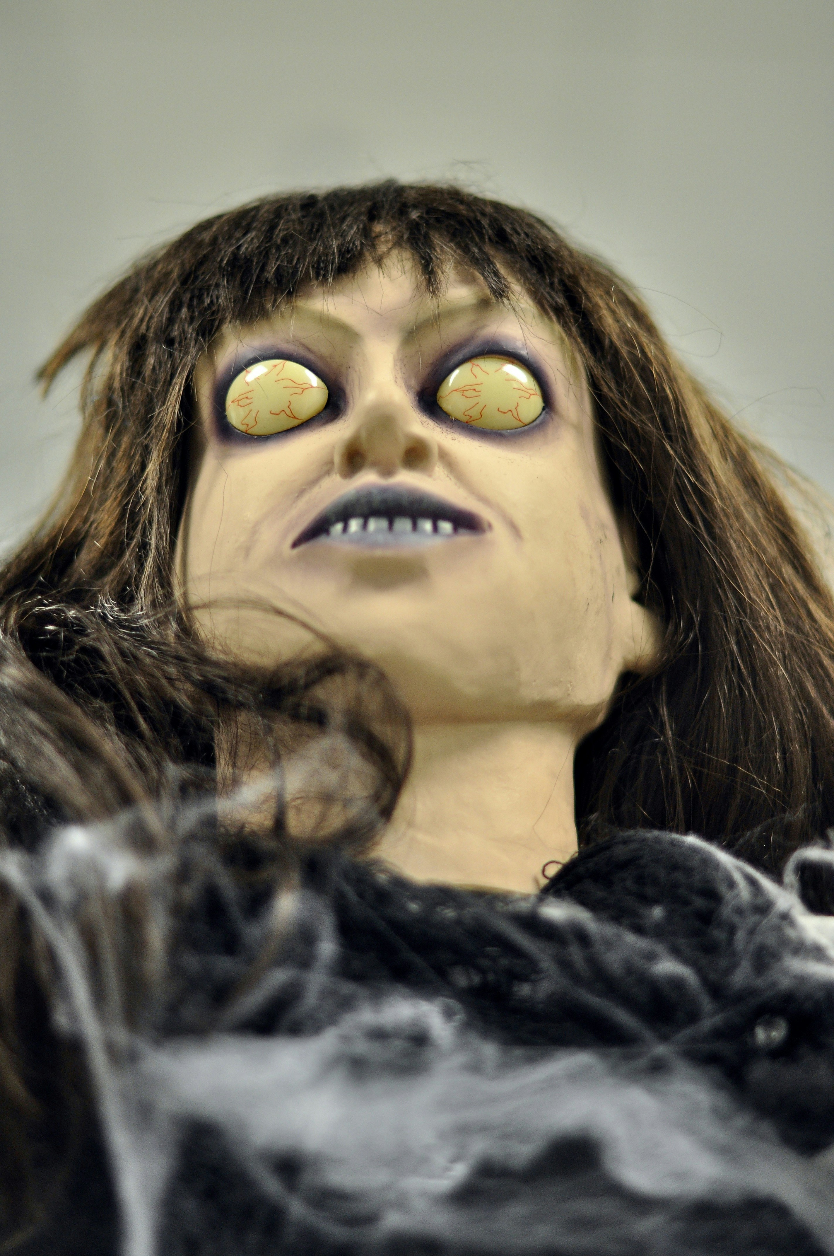 Photo by cameramandan83