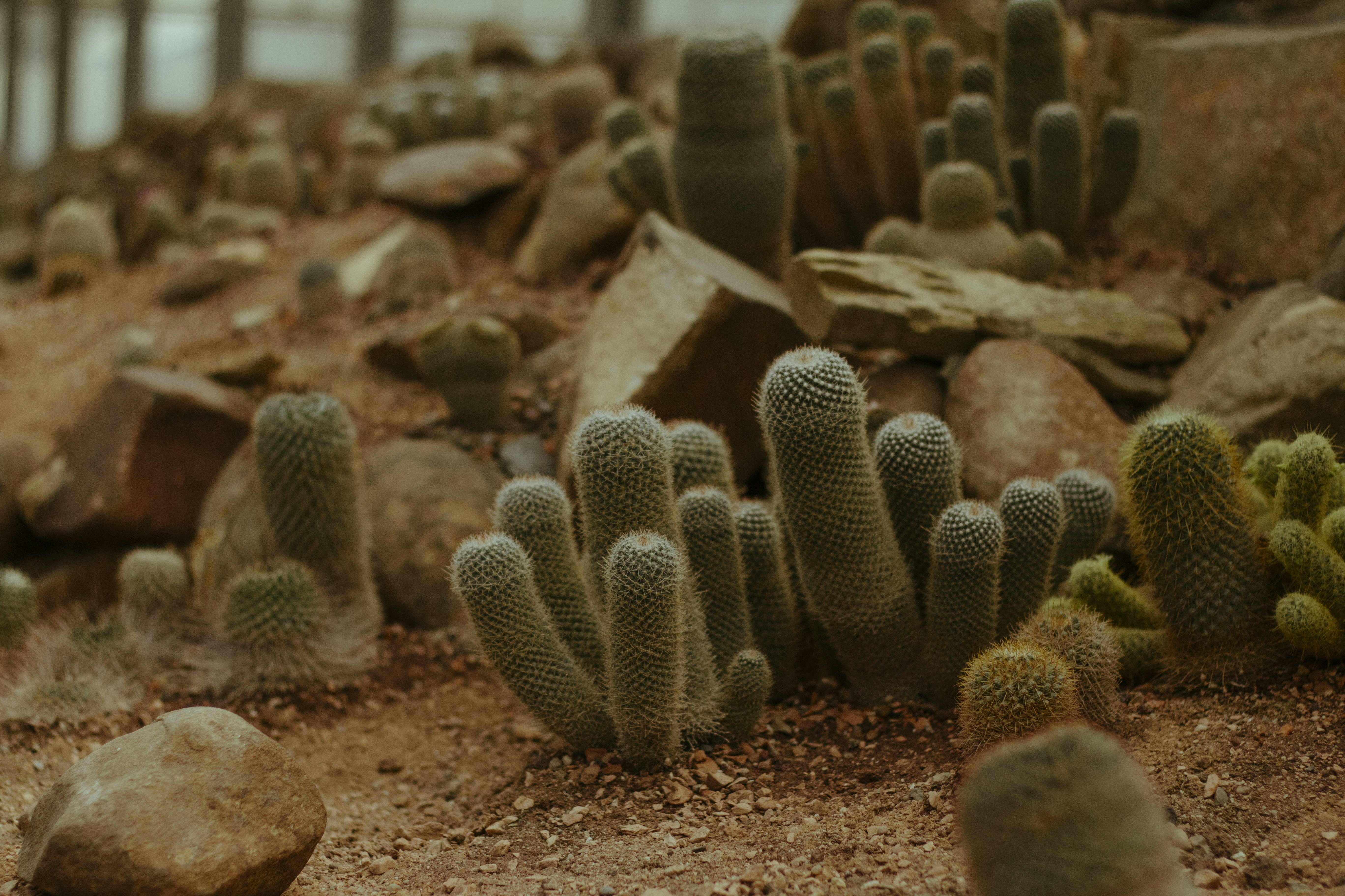 Root Networks: The Underground Internet (image credits: unsplash)