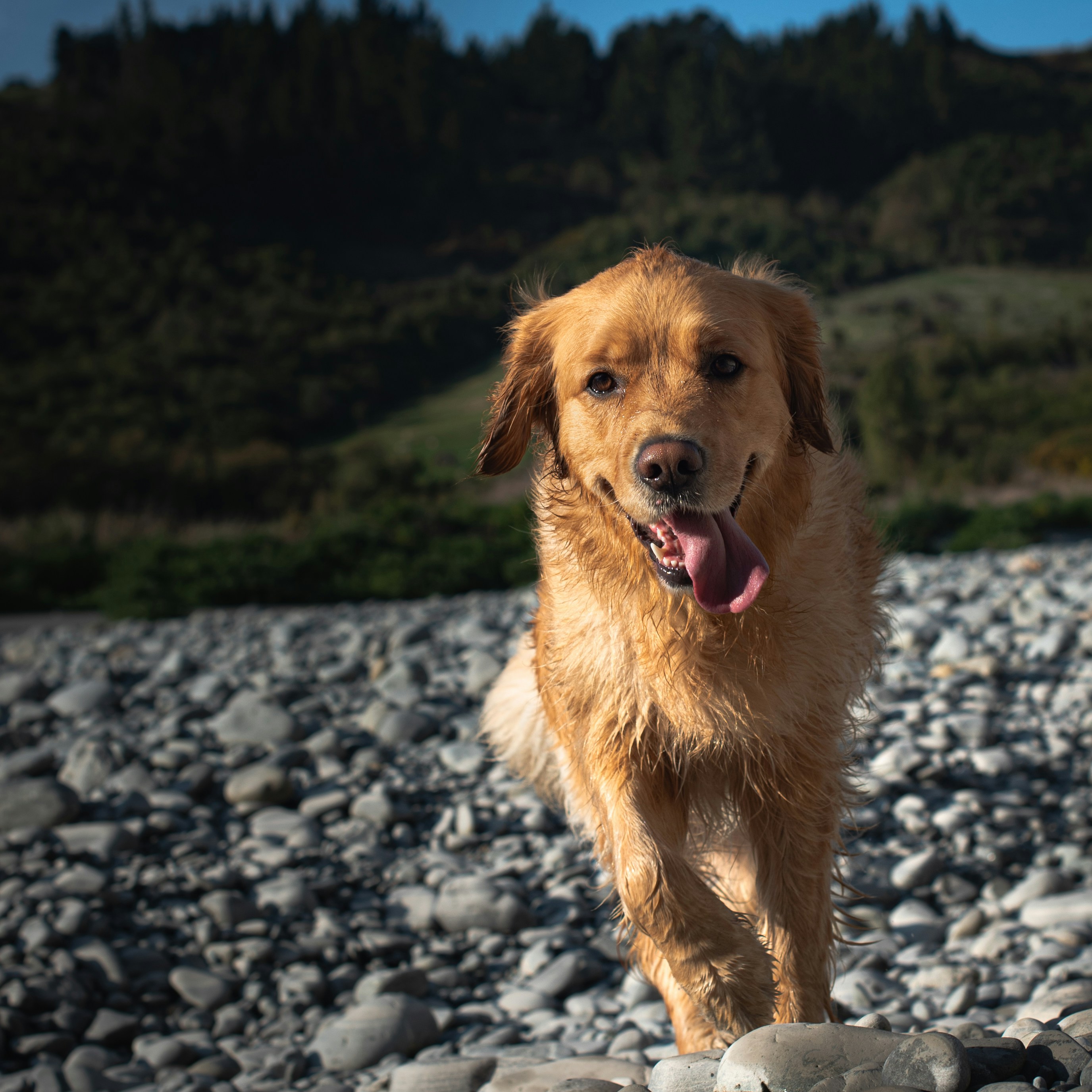 Photo by niktravelstheworld