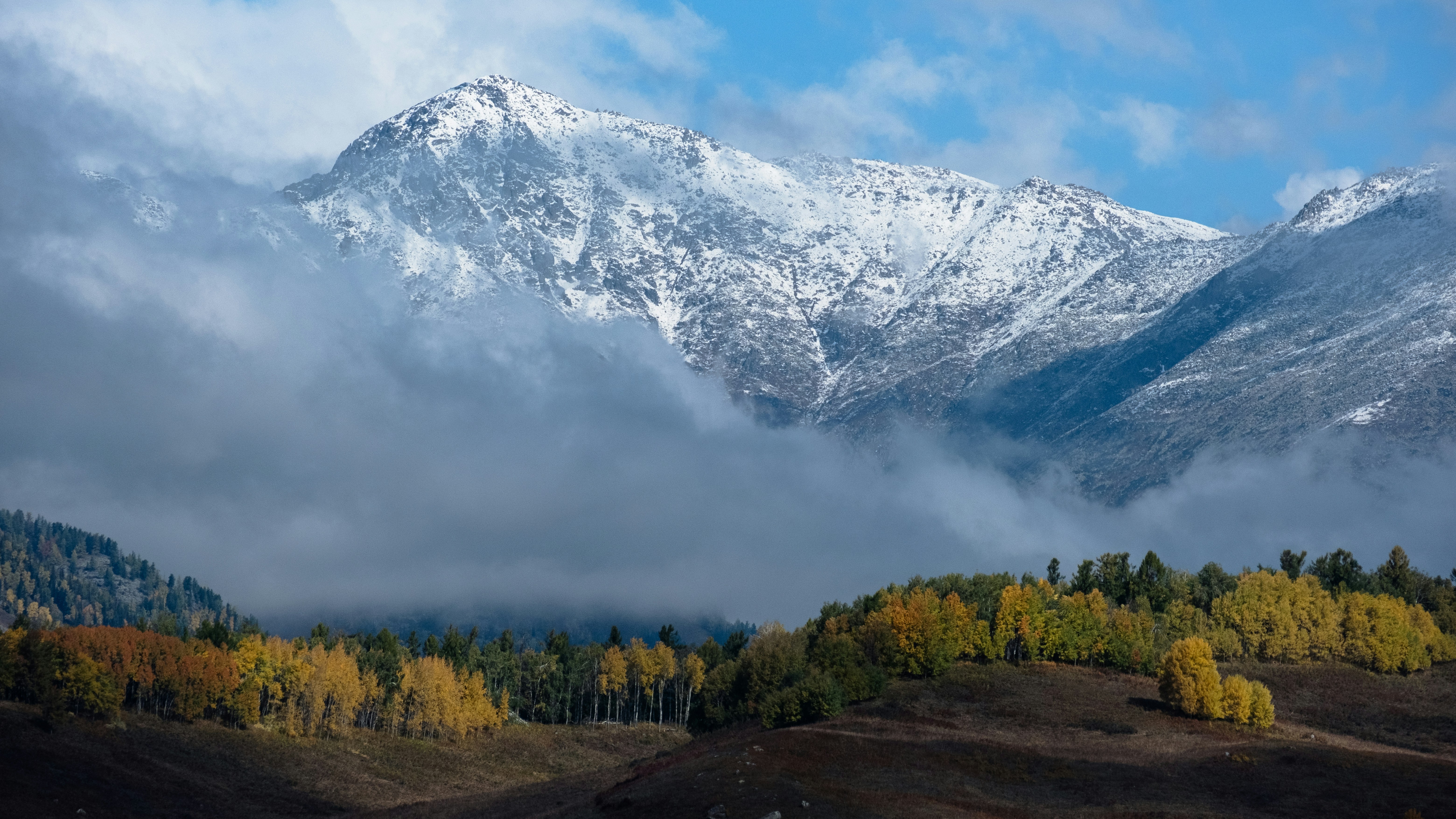 八字正财性情详解：务实、责任与谨慎