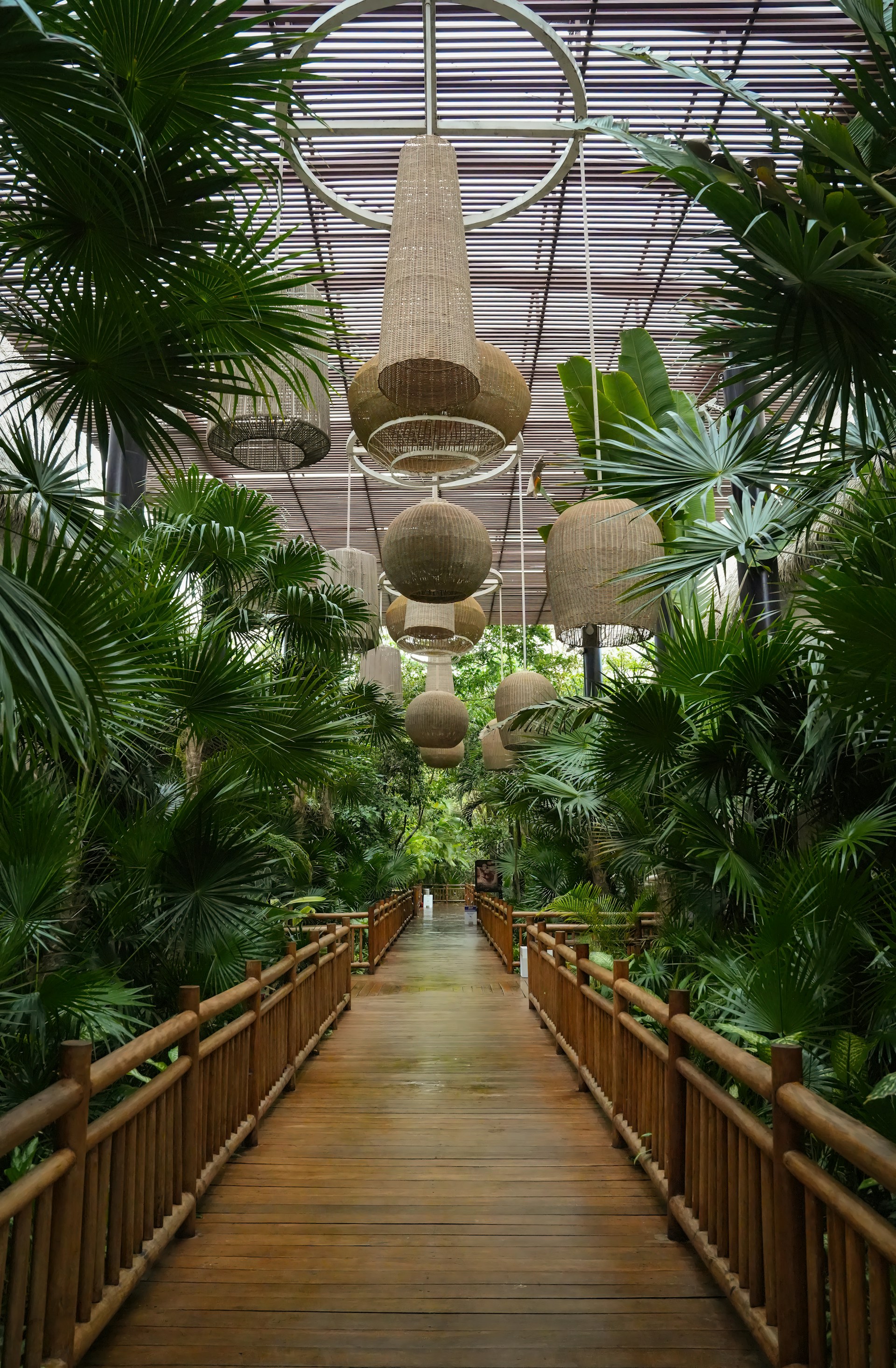 A wooden walkway surrounded by palm trees and hanging lanterns