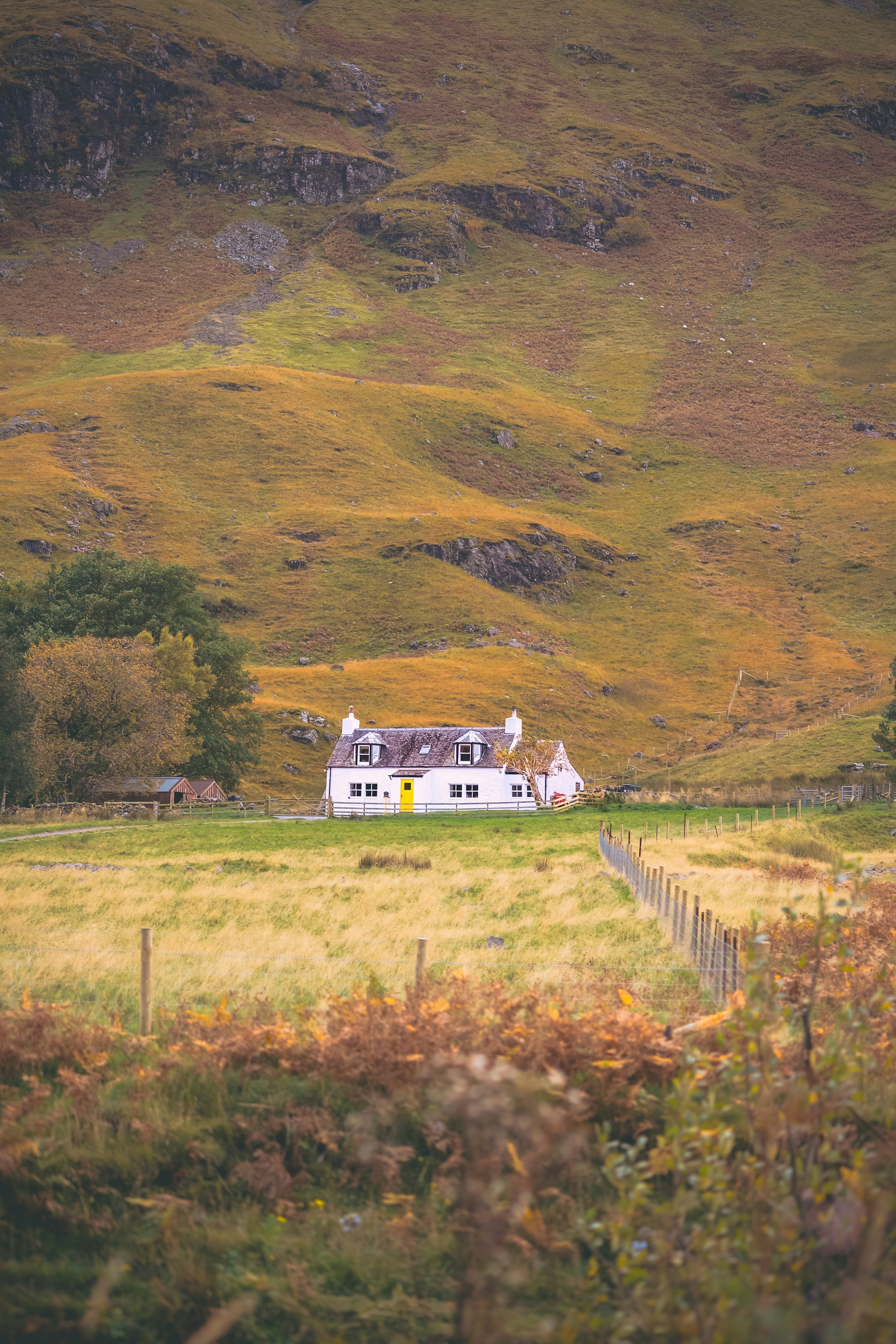 Photo by sanjog3jpeg