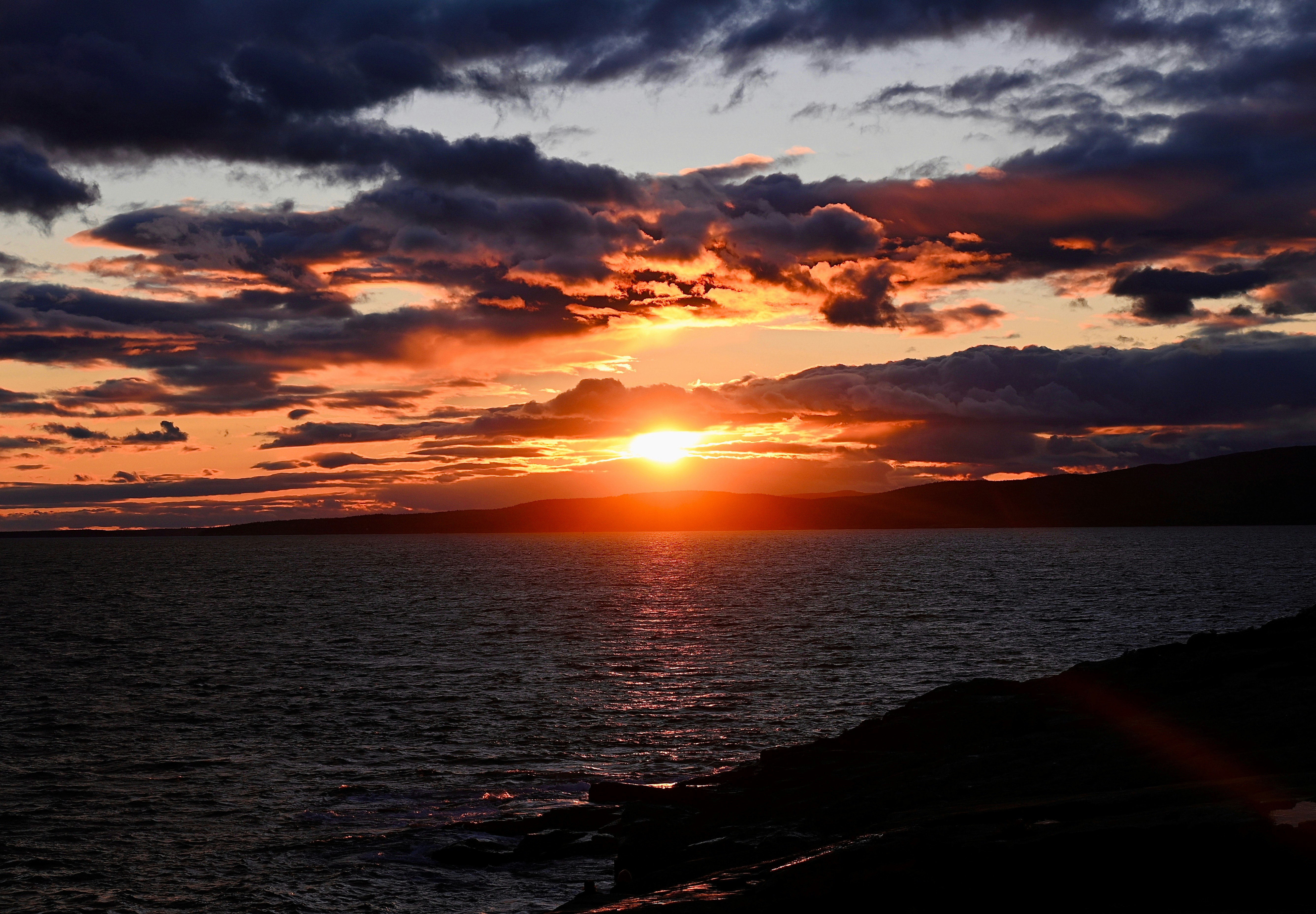 Photo by vijetha_surakanti