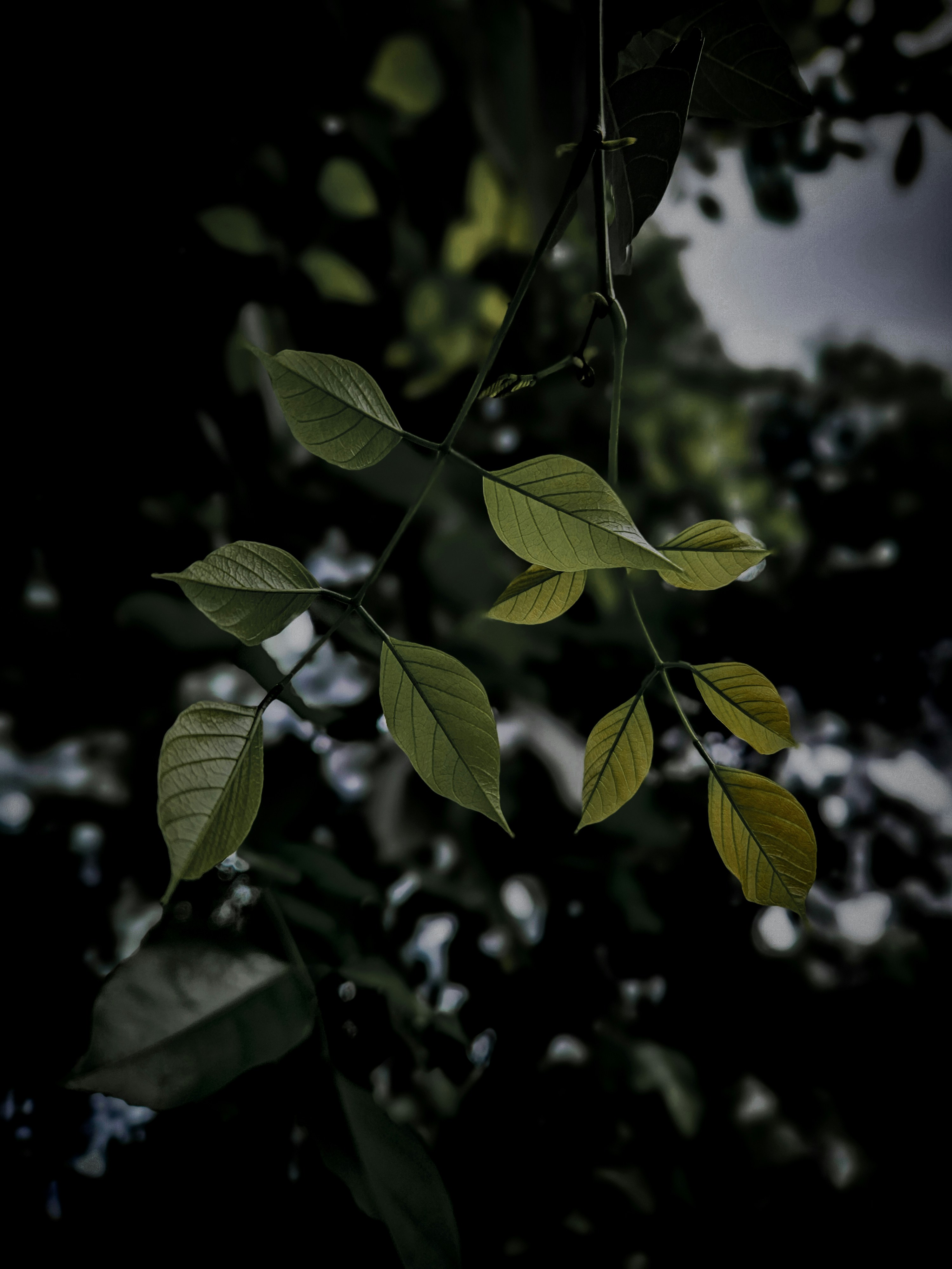 Photo by jahir1998