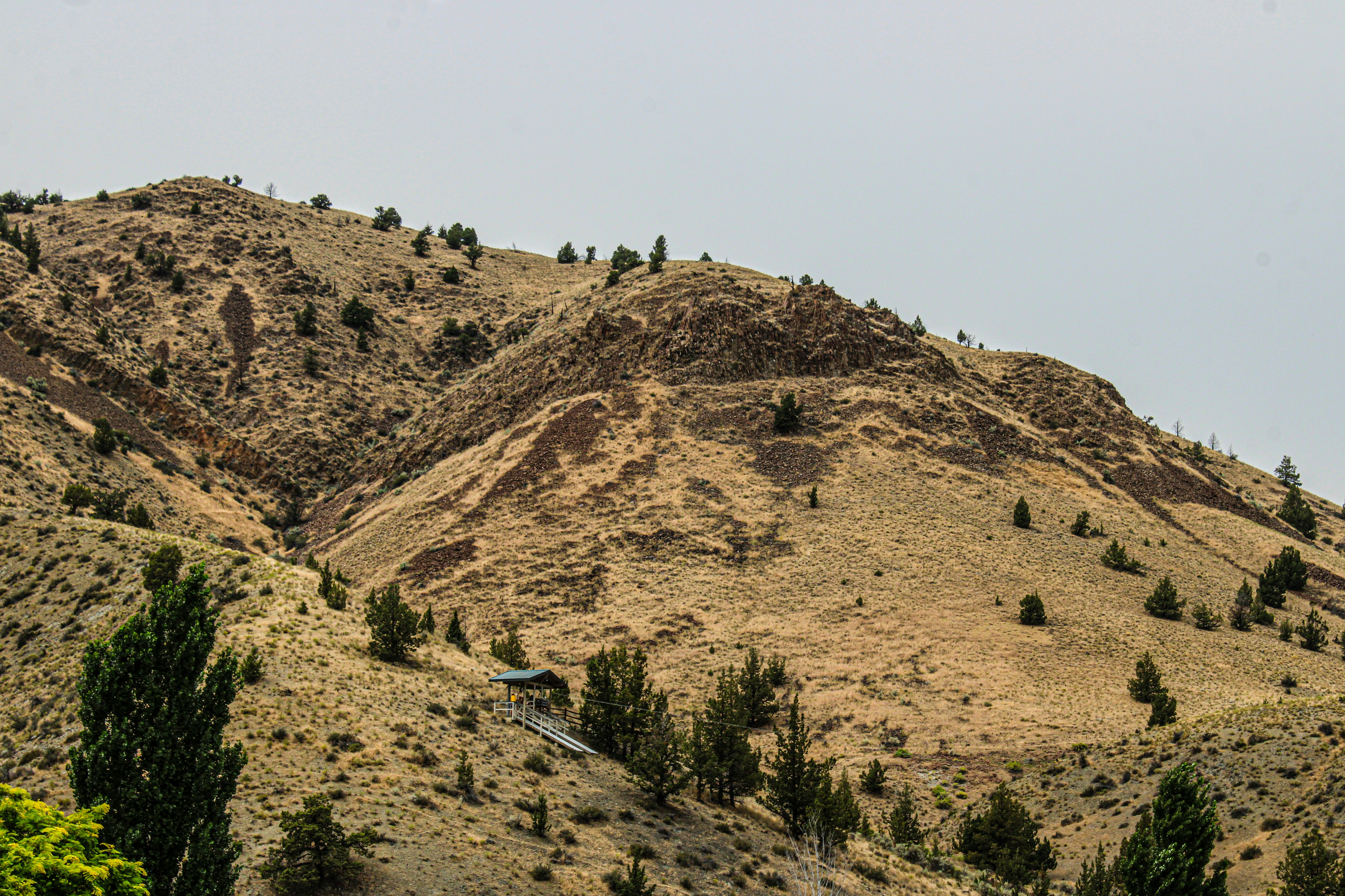 Photo by prphotography262