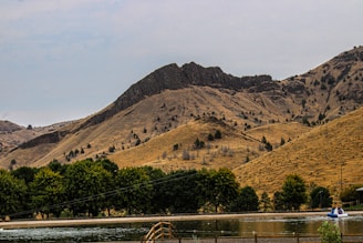 A couple of giraffe standing next to a lake