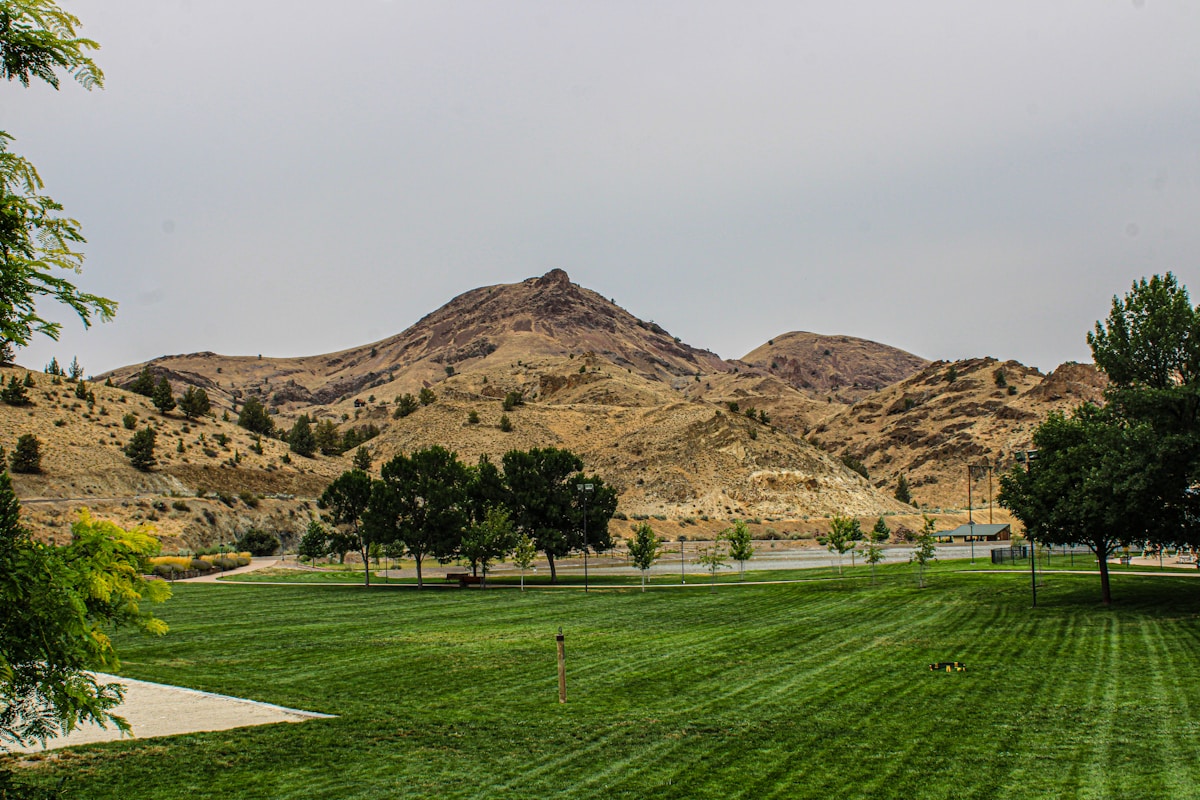A green field with mountains in the background