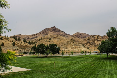 A green field with mountains in the background