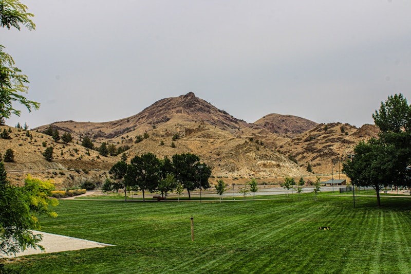 A green field with mountains in the background