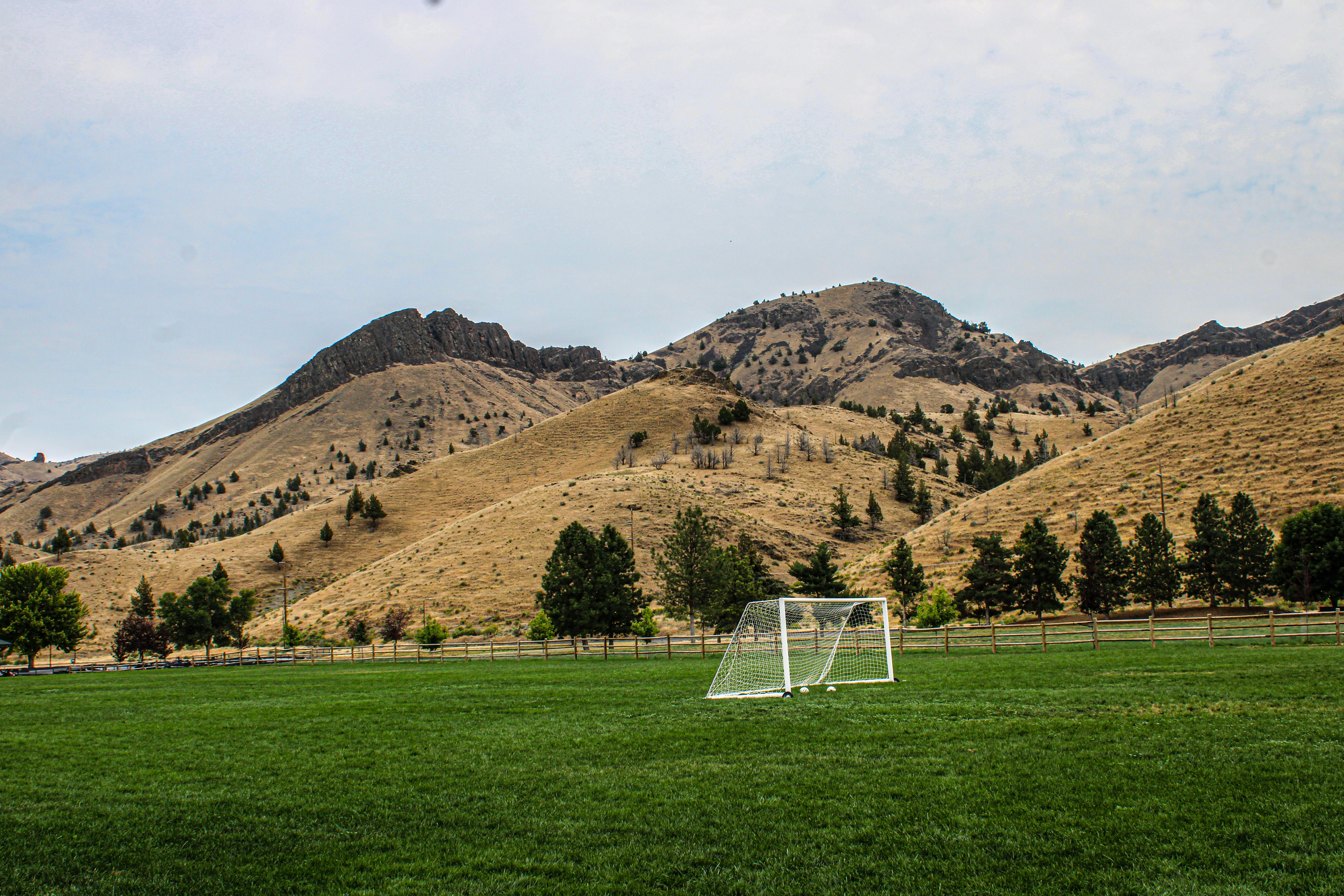 Soccer Field
